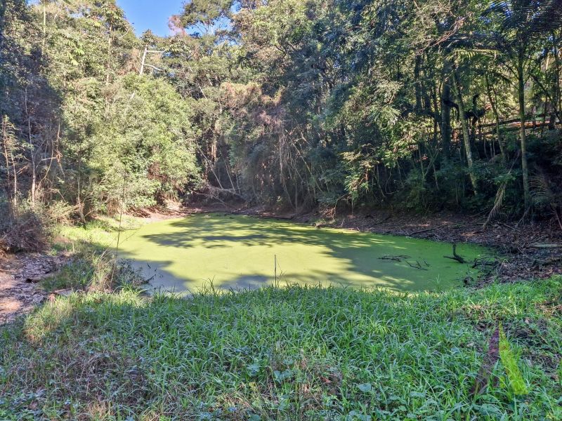 Haras pronto com lago, pista 75m x 35 m e redondel pronto em São Roque!