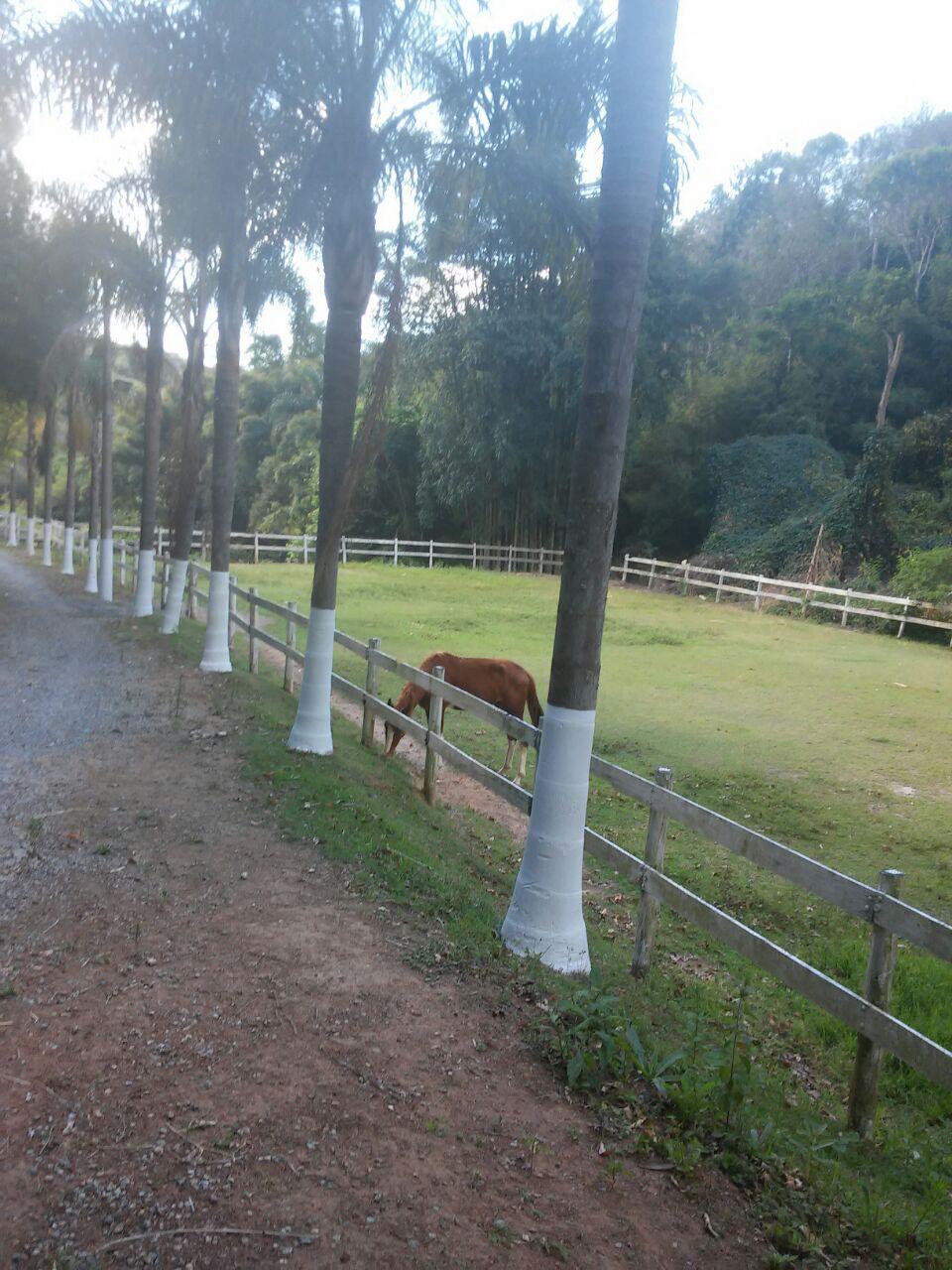 Haras em São Roque!