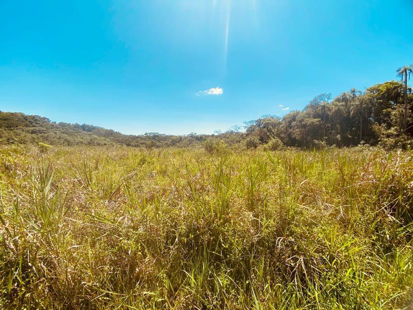 Sítio em Pavão (Canguera), SÃO ROQUE - Foto 14