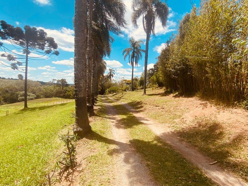 Sítio em Pavão (Canguera), SÃO ROQUE - Foto 17