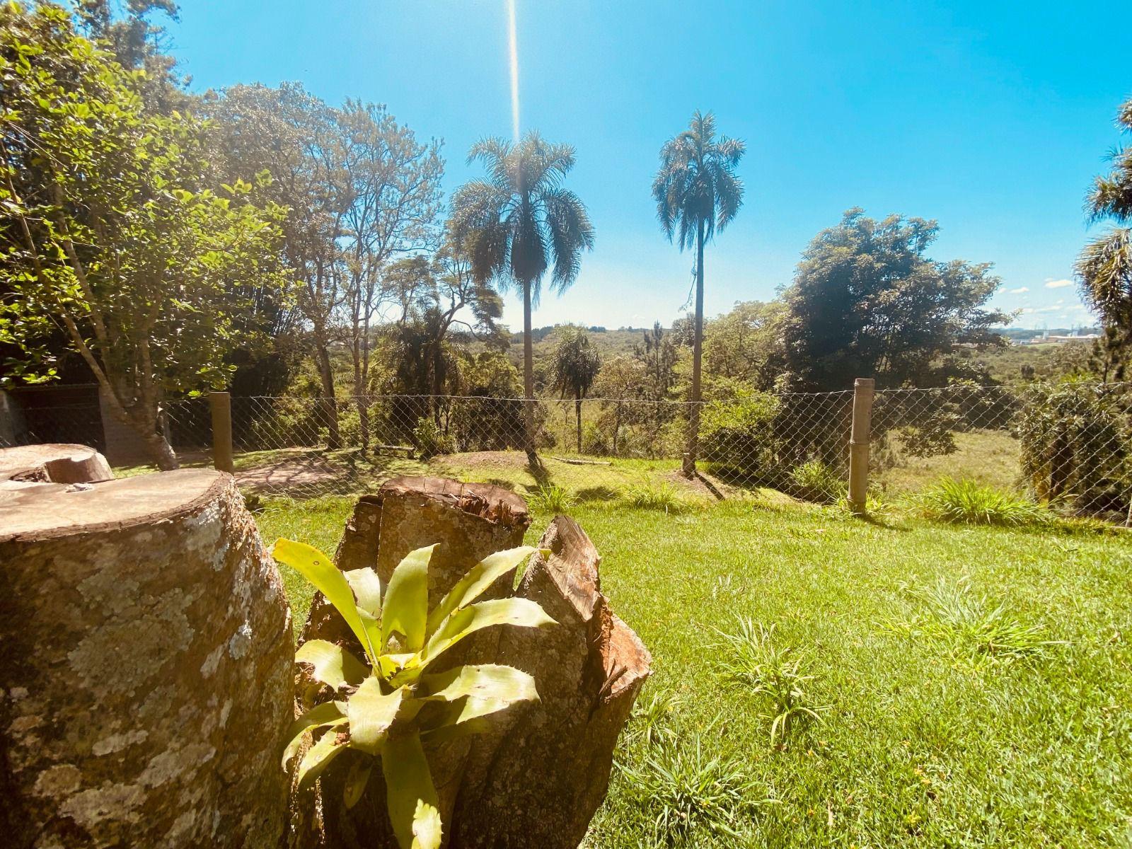 Sítio em Pavão (Canguera), SÃO ROQUE - Foto 21