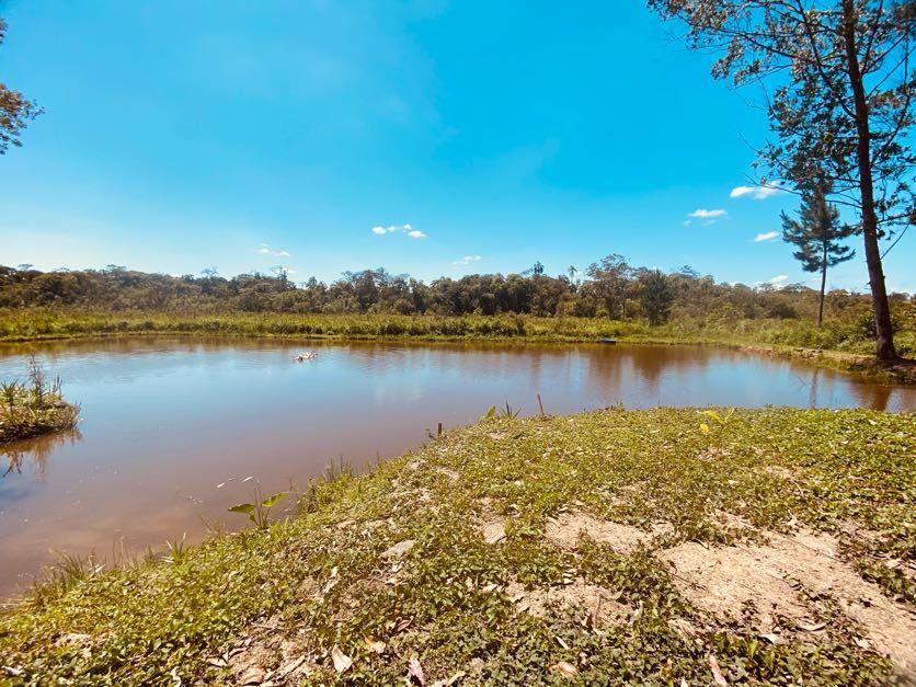 Sítio em Pavão (Canguera), SÃO ROQUE - Foto 7