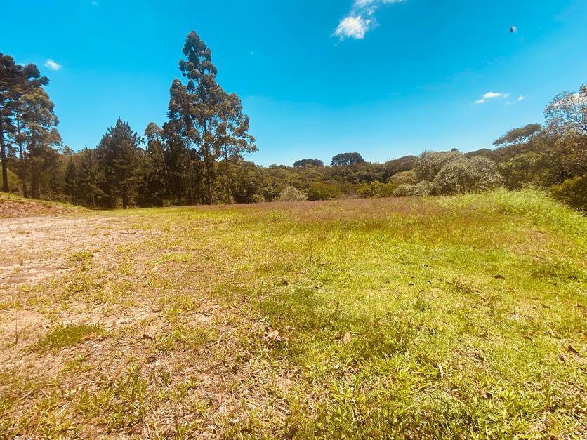 Sítio em Pavão (Canguera), SÃO ROQUE - Foto 59