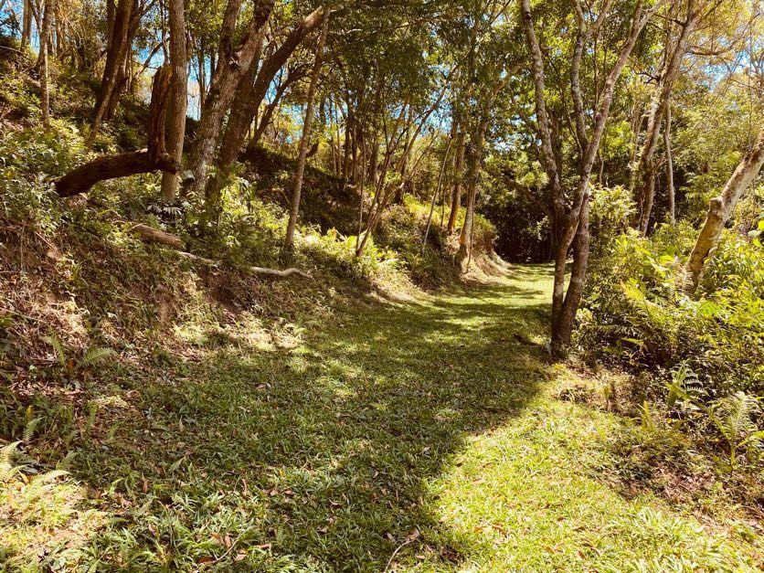 Sítio em Pavão (Canguera), SÃO ROQUE - Foto 67