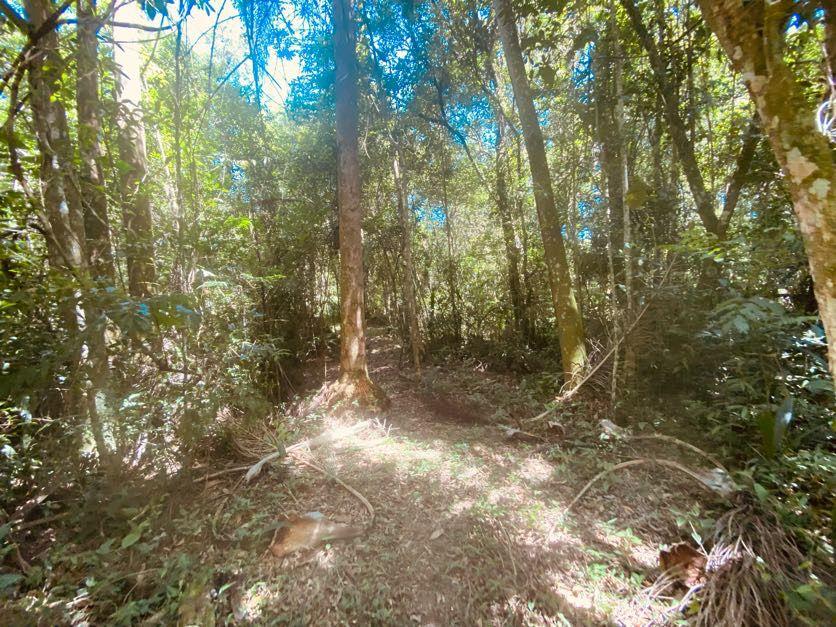 Sítio em Pavão (Canguera), SÃO ROQUE - Foto 87