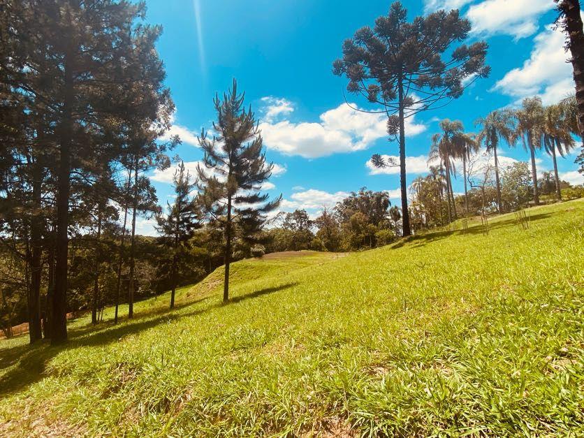 Sítio em Pavão (Canguera), SÃO ROQUE - Foto 91