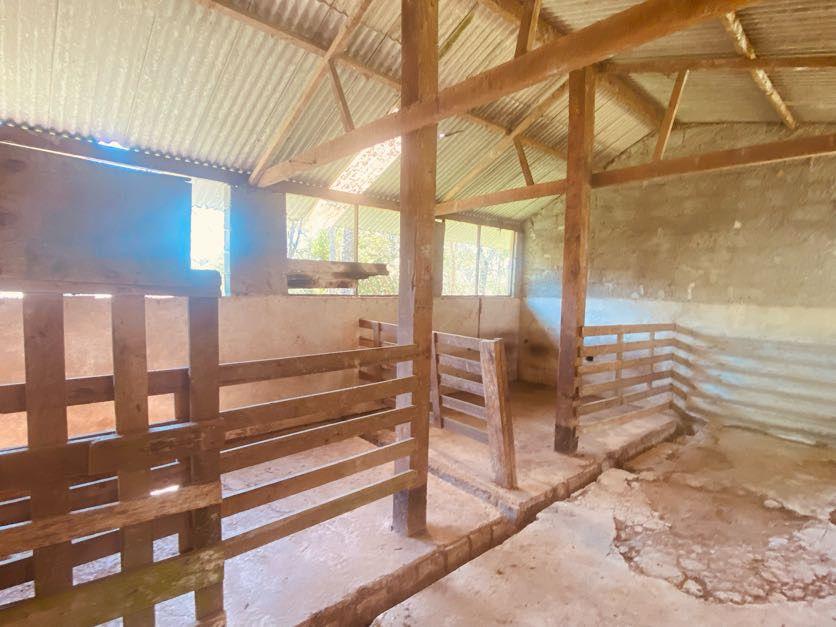 Sítio em Pavão (Canguera), SÃO ROQUE - Foto 93