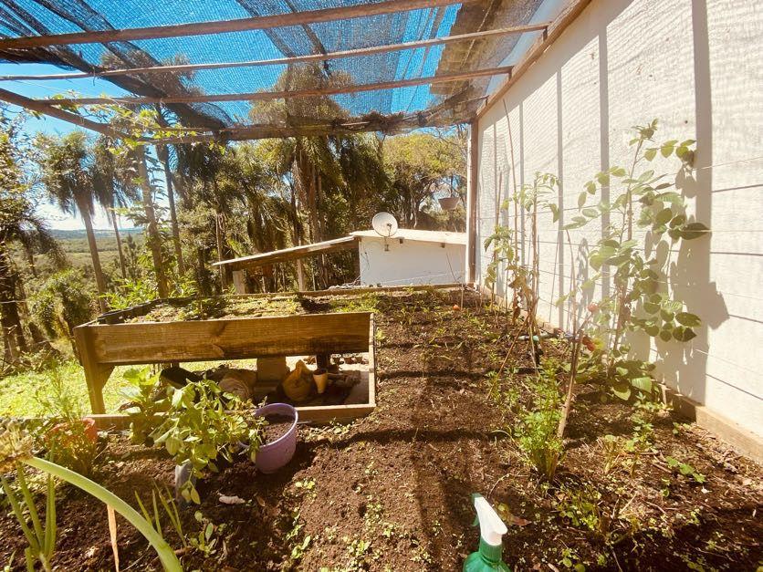 Sítio em Pavão (Canguera), SÃO ROQUE - Foto 95