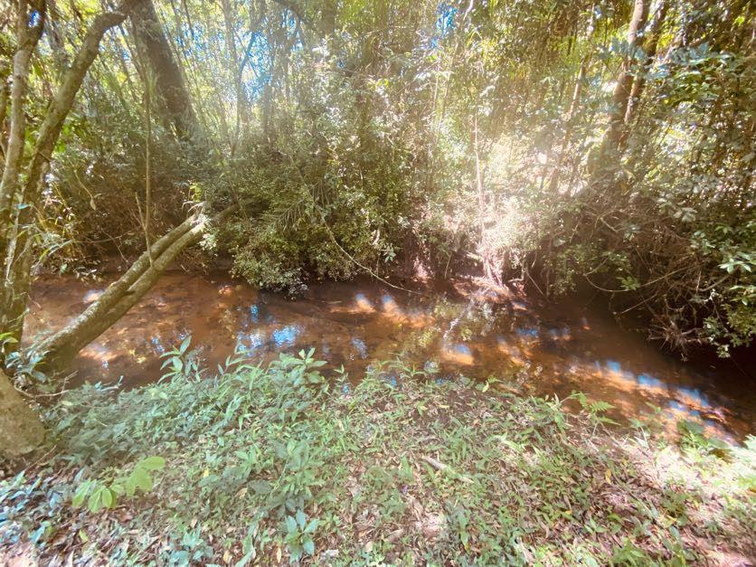 Sítio em Pavão (Canguera), SÃO ROQUE - Foto 119