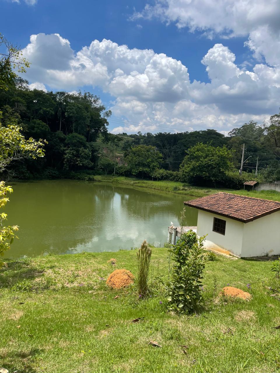 Sítio em Centro (São João Novo), SÃO ROQUE - Foto 36