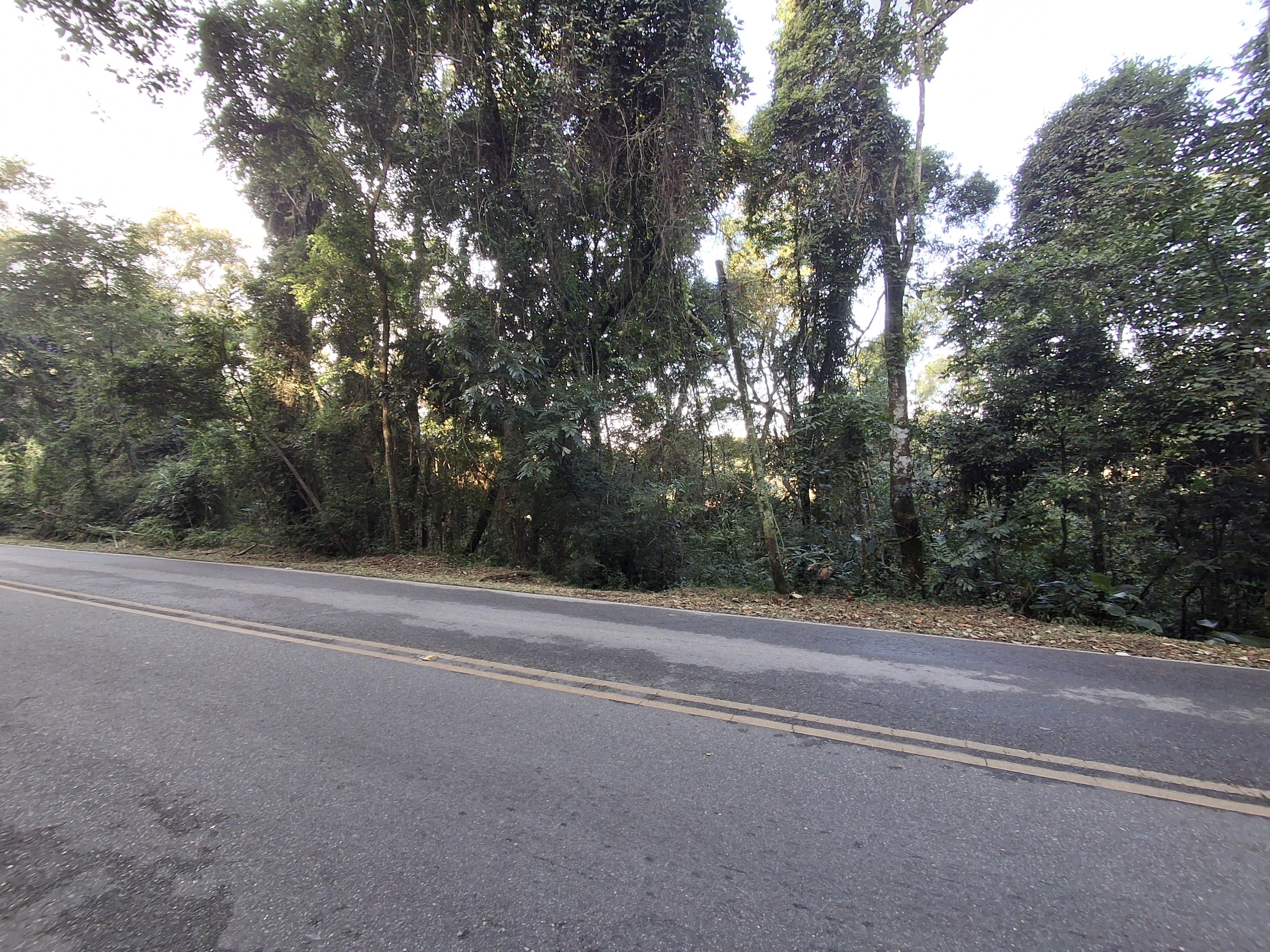 Terreno em Centro (Canguera), SÃO ROQUE - Foto 3