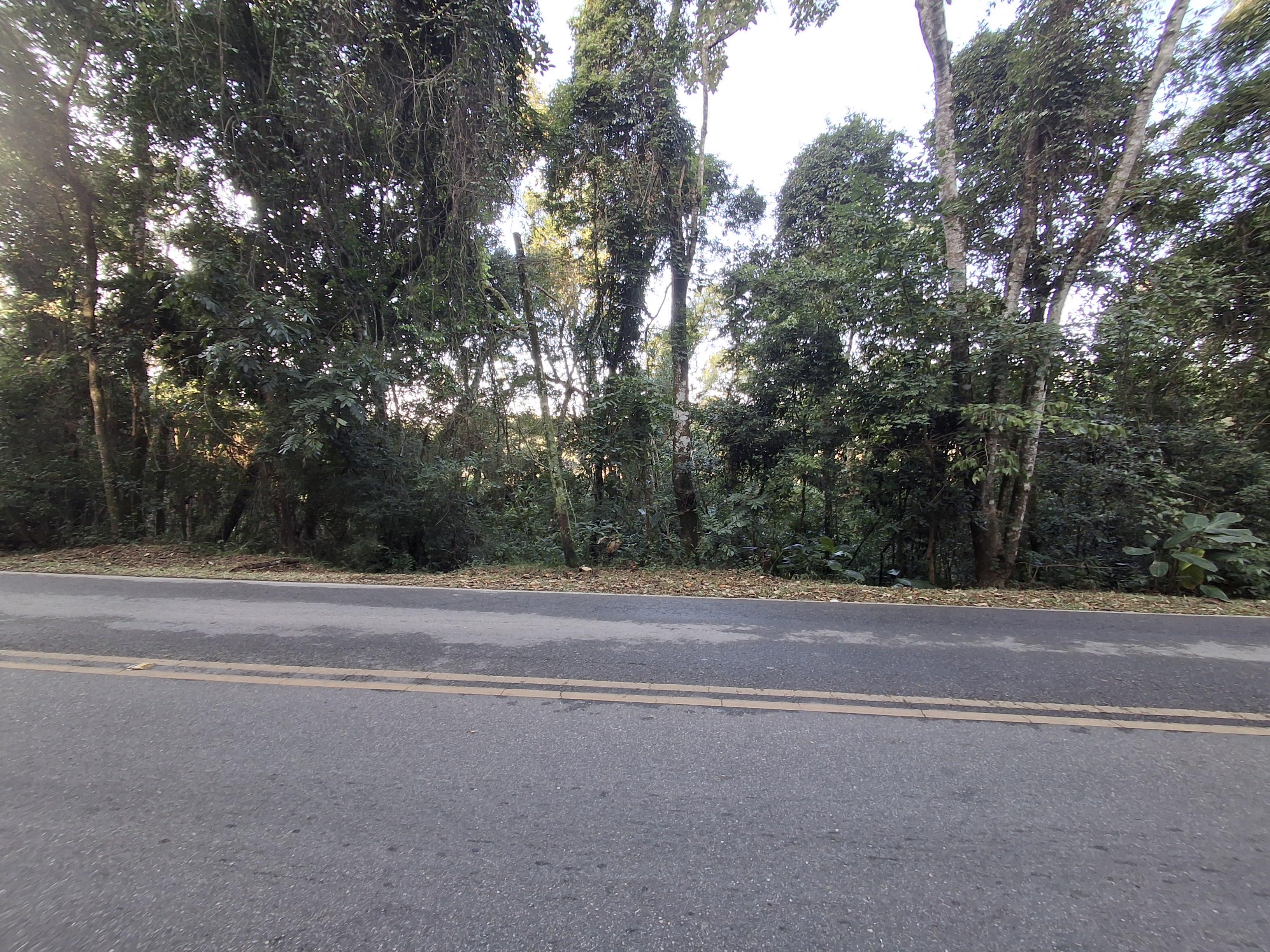 Terreno em Centro (Canguera), SÃO ROQUE - Foto 5