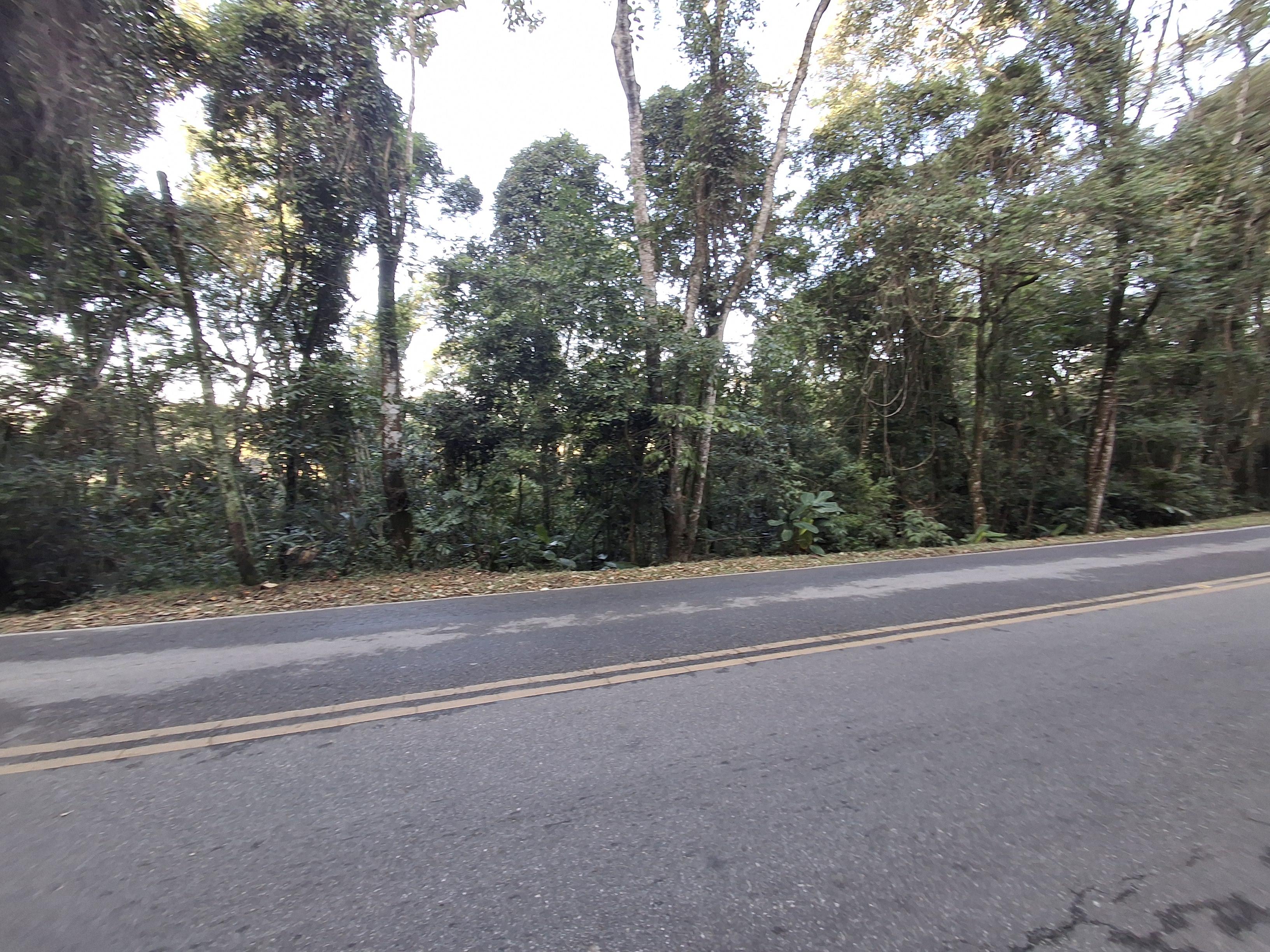 Terreno em Centro (Canguera), SÃO ROQUE - Foto 7