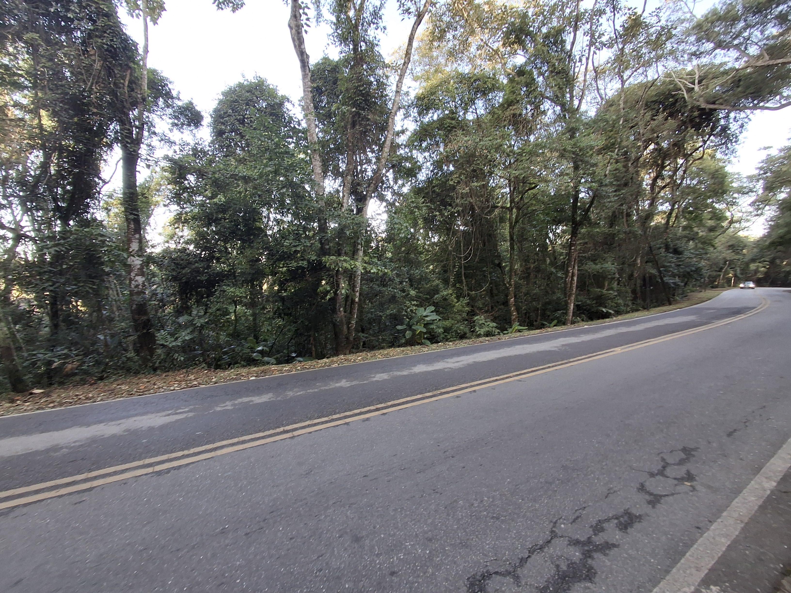 Terreno em Centro (Canguera), SÃO ROQUE - Foto 9