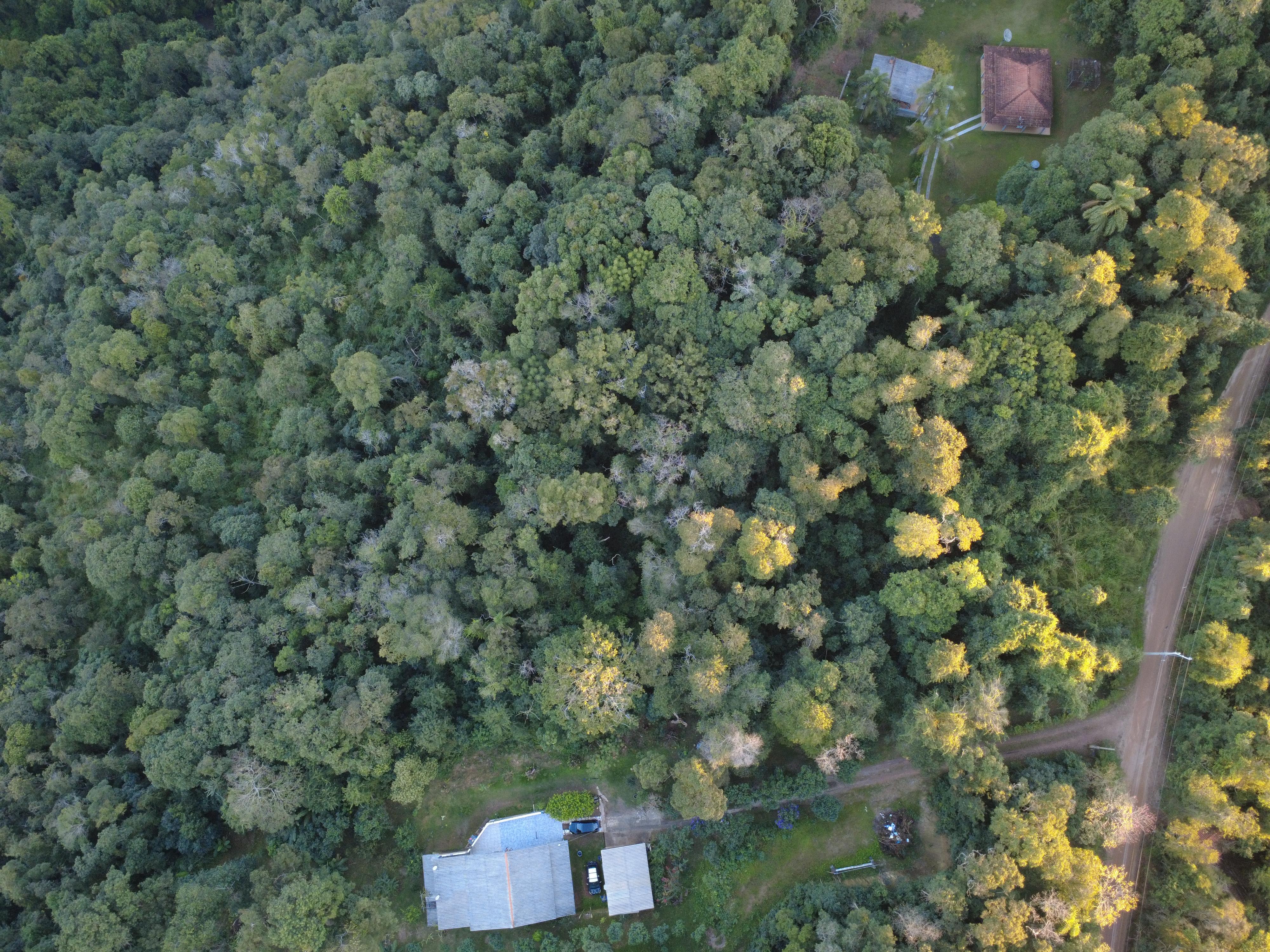 Terreno em Saboó, SÃO ROQUE - Foto 15