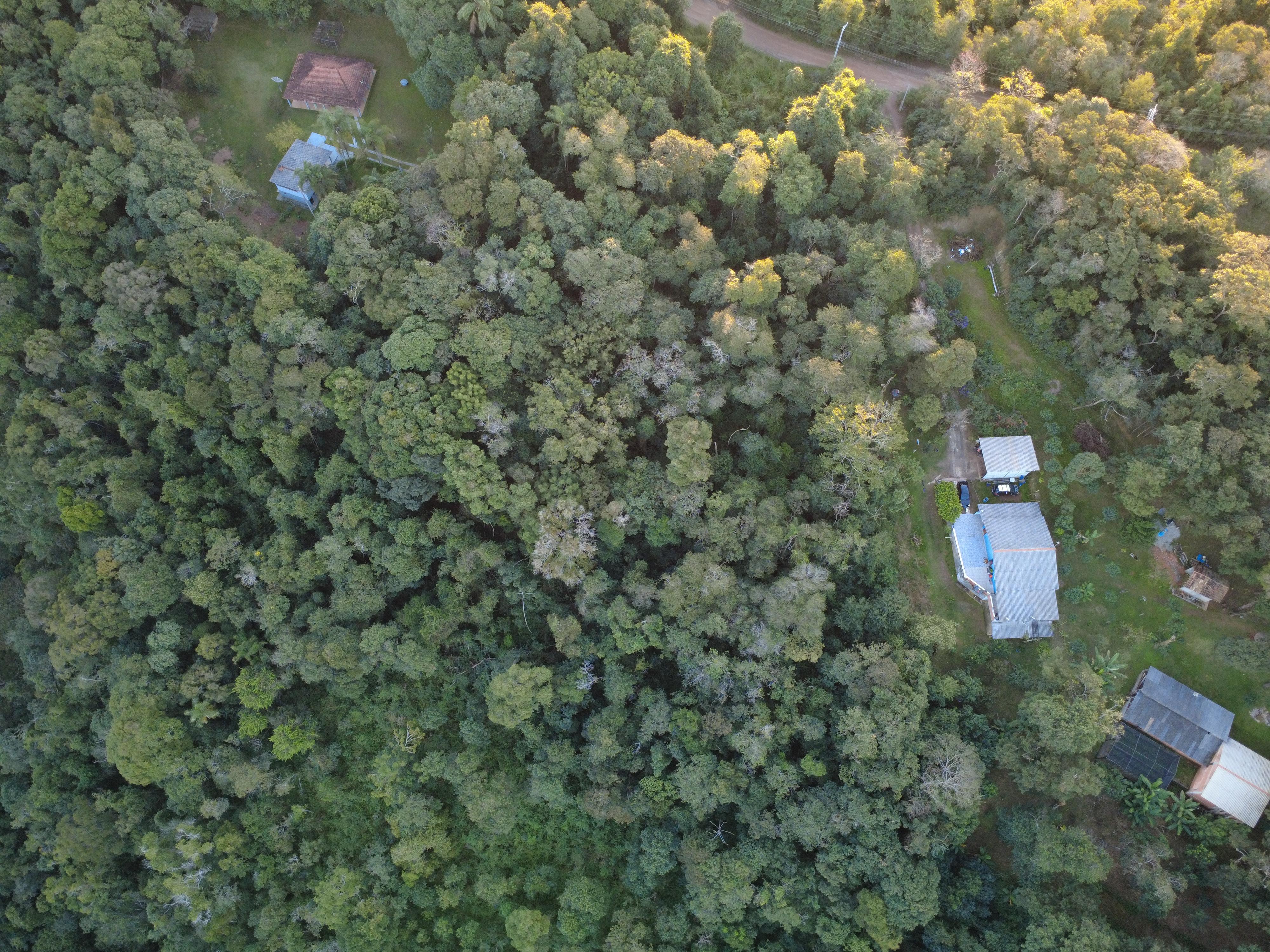 Terreno em Saboó, SÃO ROQUE - Foto 17