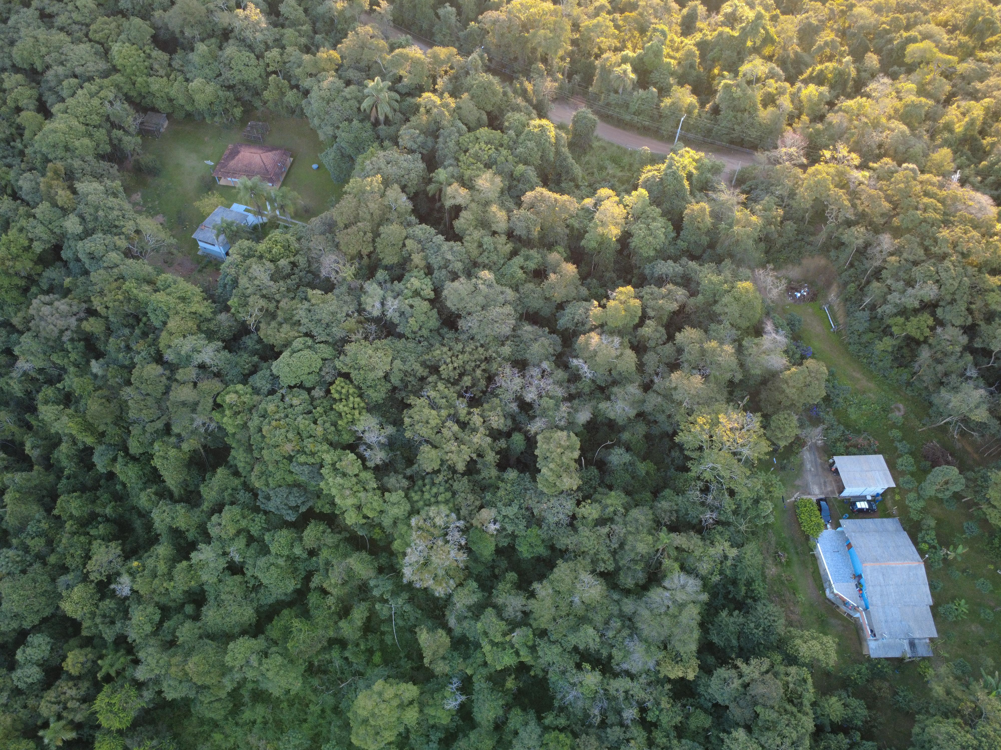 Terreno em Saboó, SÃO ROQUE - Foto 19