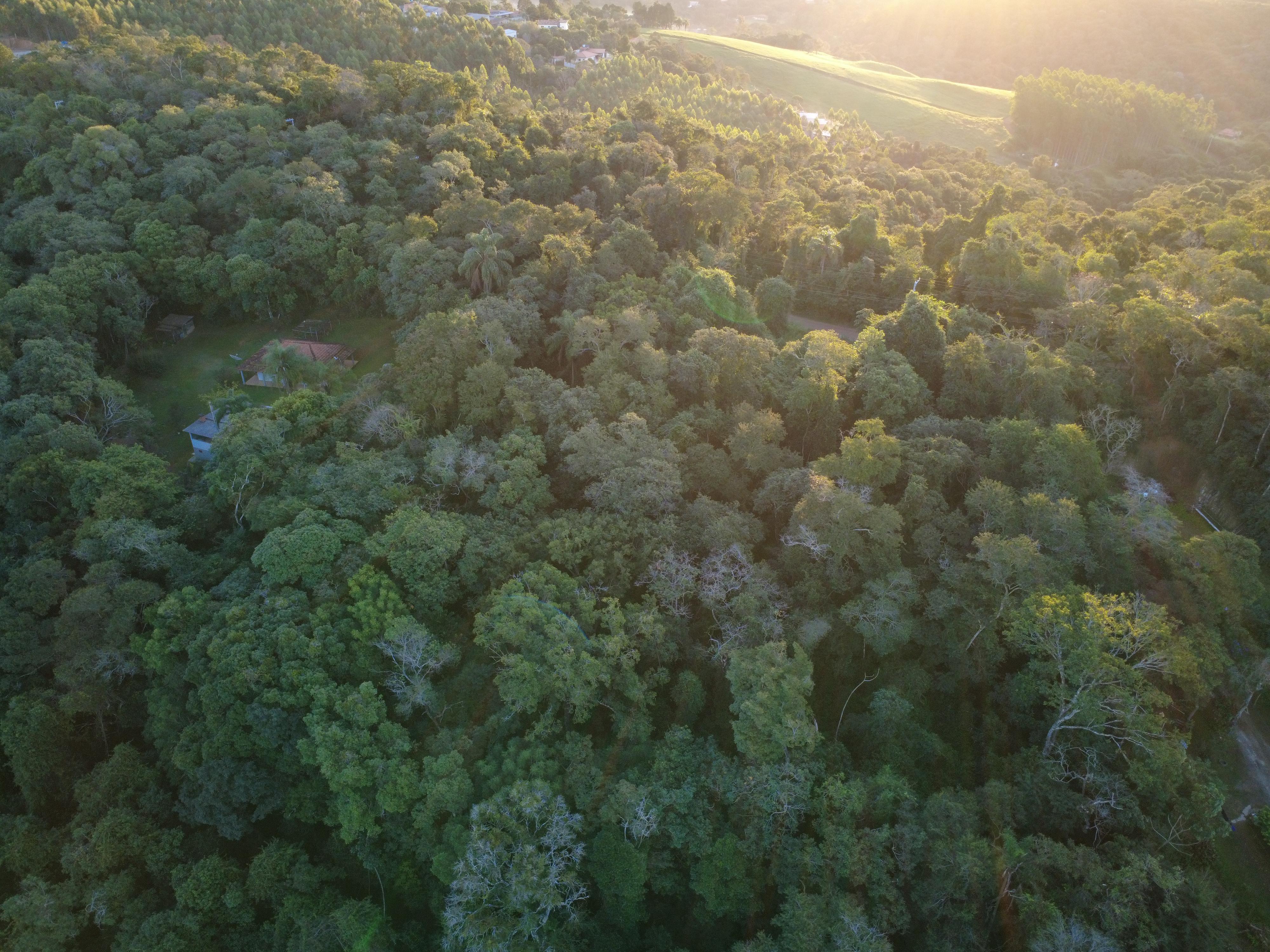 Terreno em Saboó, SÃO ROQUE - Foto 21