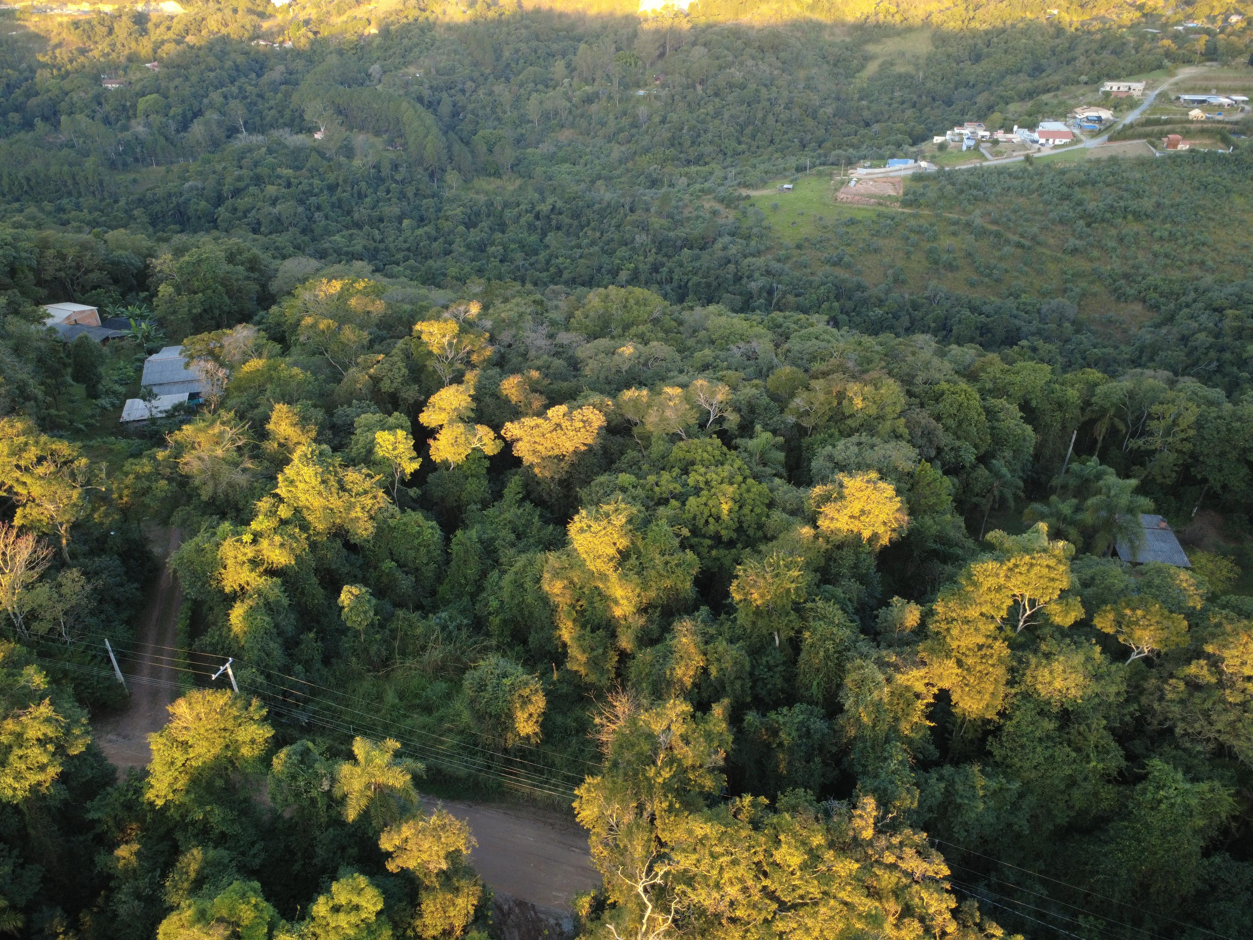 Terreno em Saboó, SÃO ROQUE - Foto 23