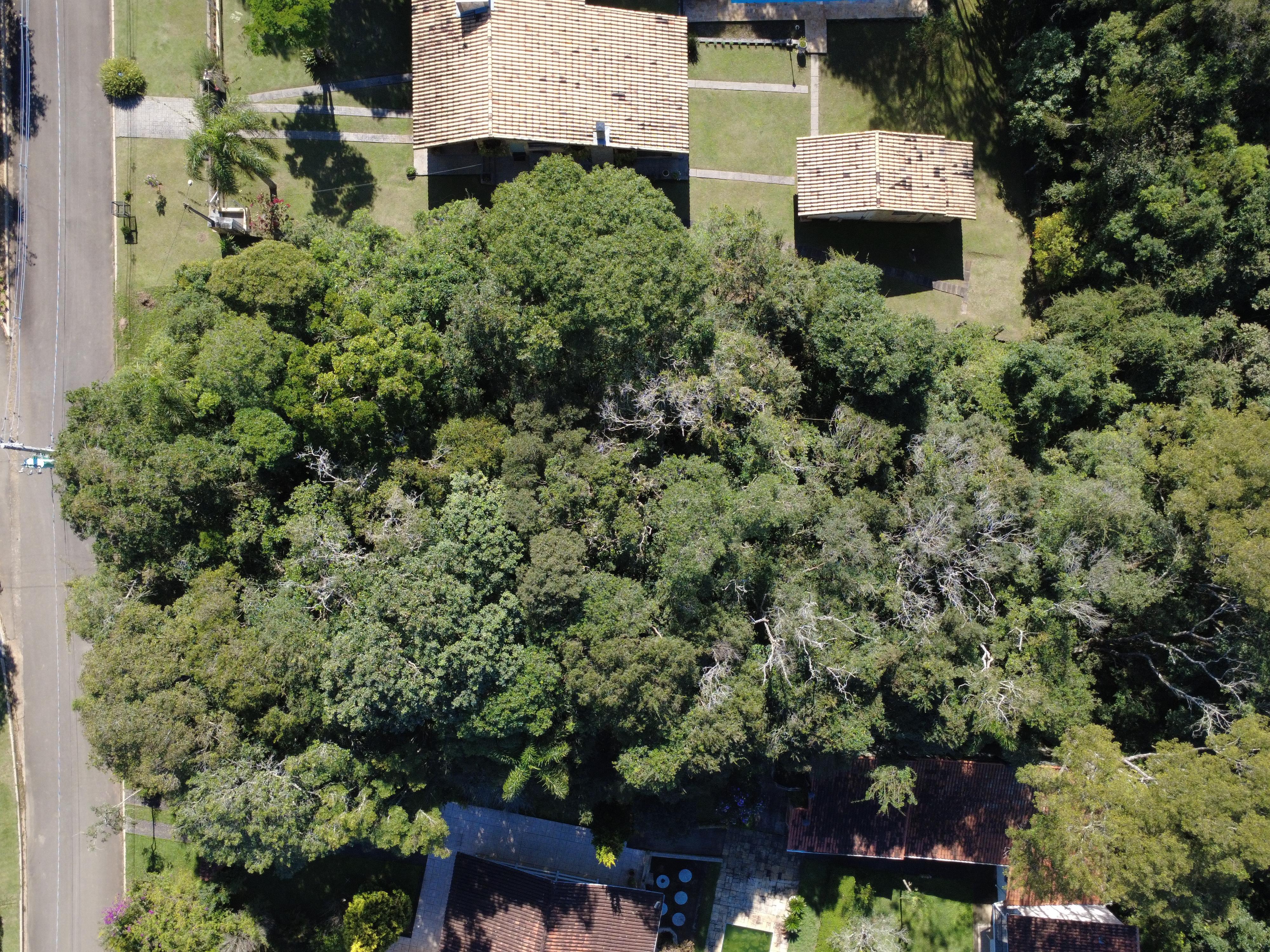 Terreno em do Carmo (Canguera), SÃO ROQUE - Foto 10
