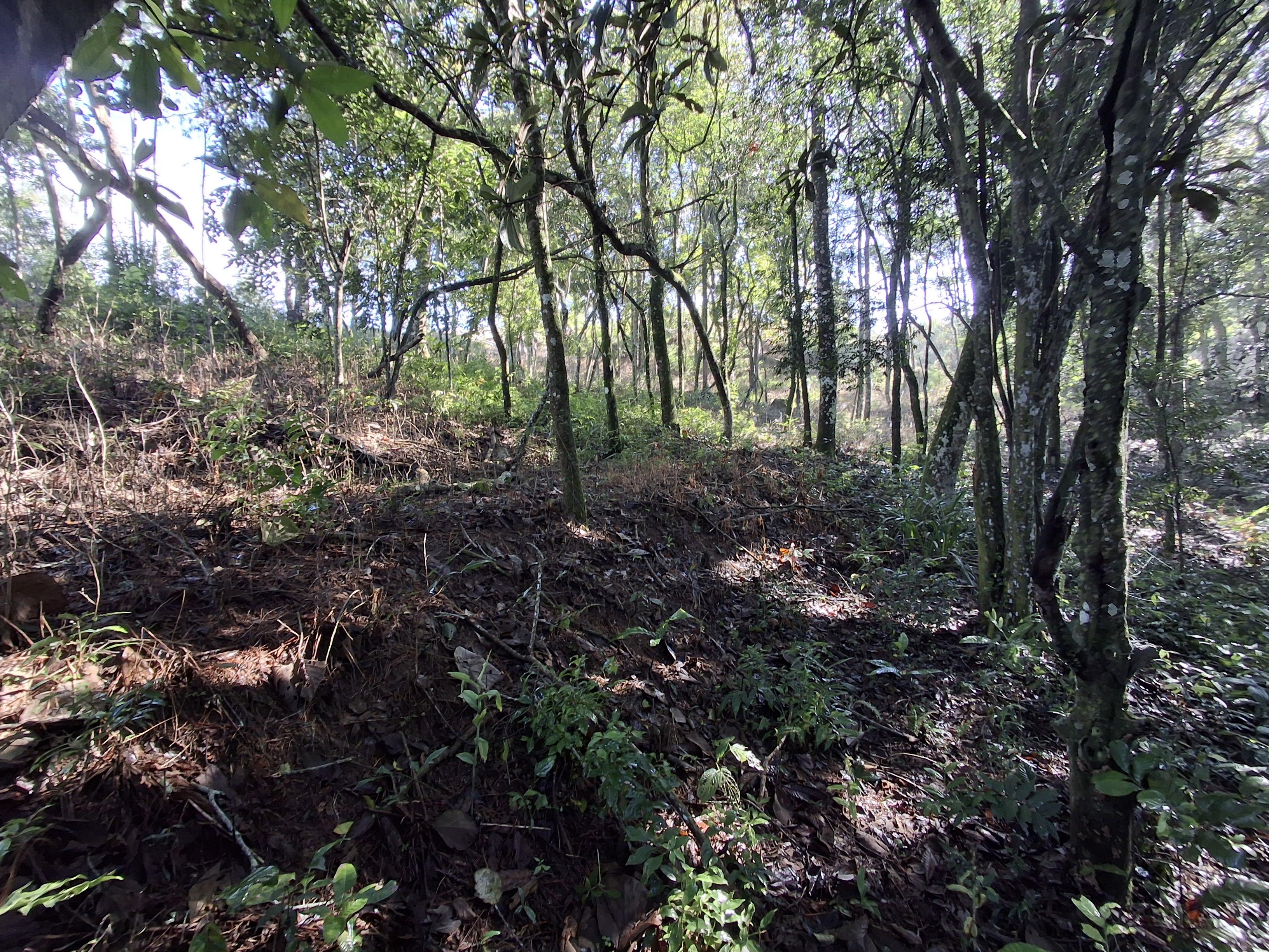 Terreno em Vila Darcy Penteado (Mailasqui), SÃO ROQUE - Foto 15