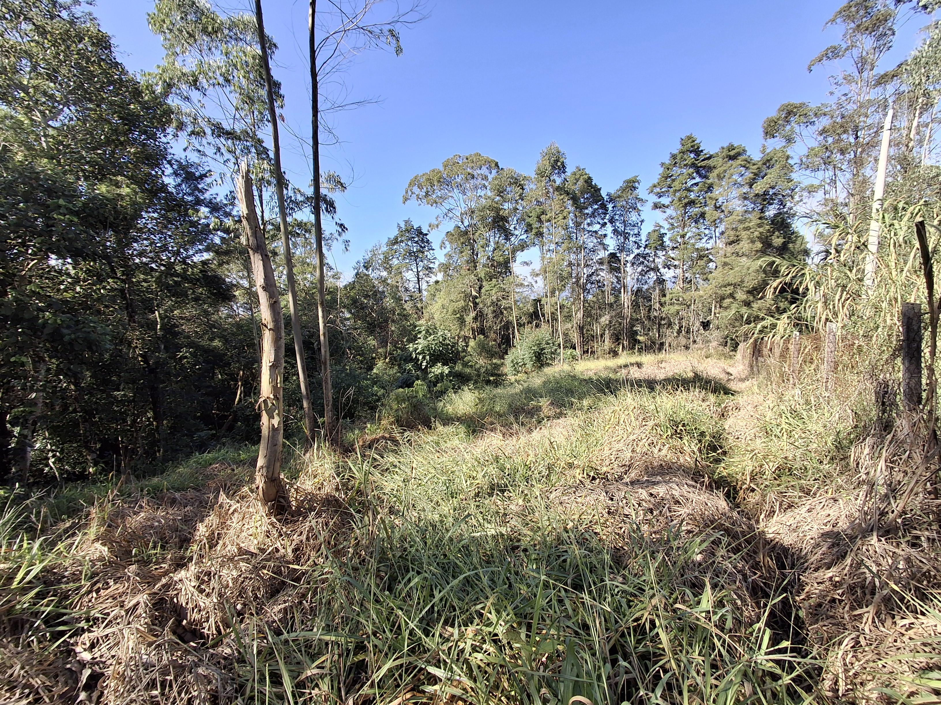 Terreno em Vila Darcy Penteado (Mailasqui), SÃO ROQUE - Terreno de 5000 m²  na Vila Darcy Penteado em São Roque! - Foto 3