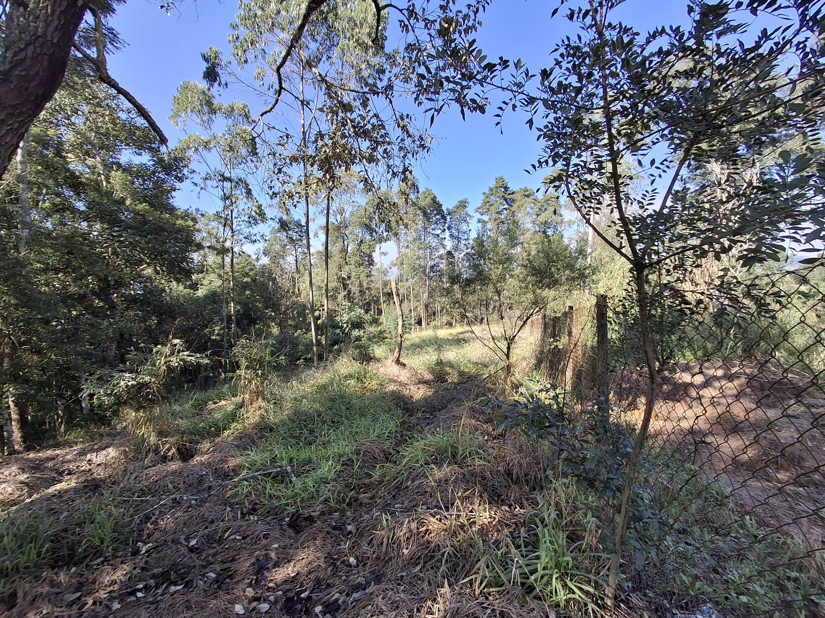 Terreno em Vila Darcy Penteado (Mailasqui), SÃO ROQUE - Foto 17