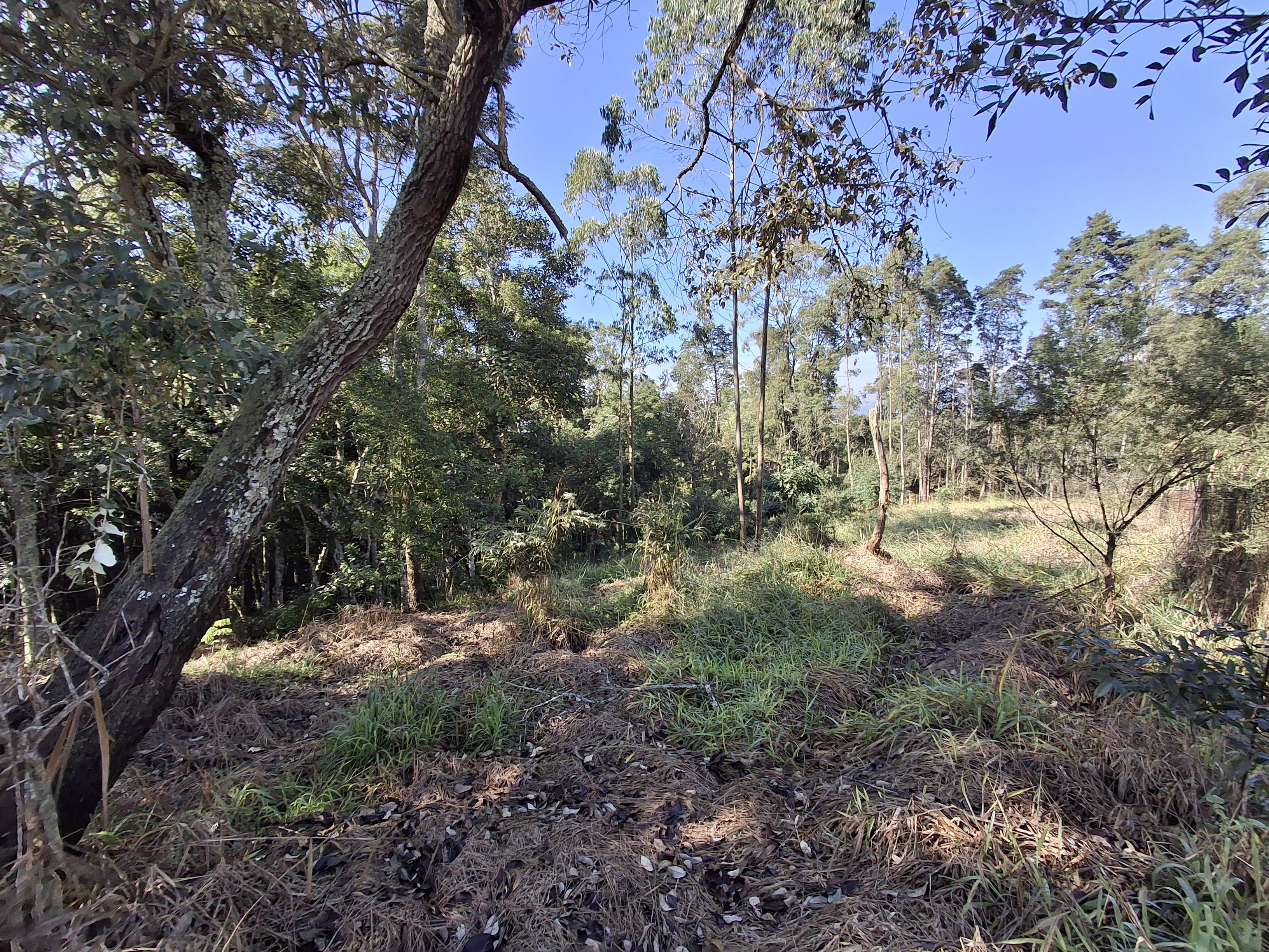 Terreno em Vila Darcy Penteado (Mailasqui), SÃO ROQUE - Foto 19