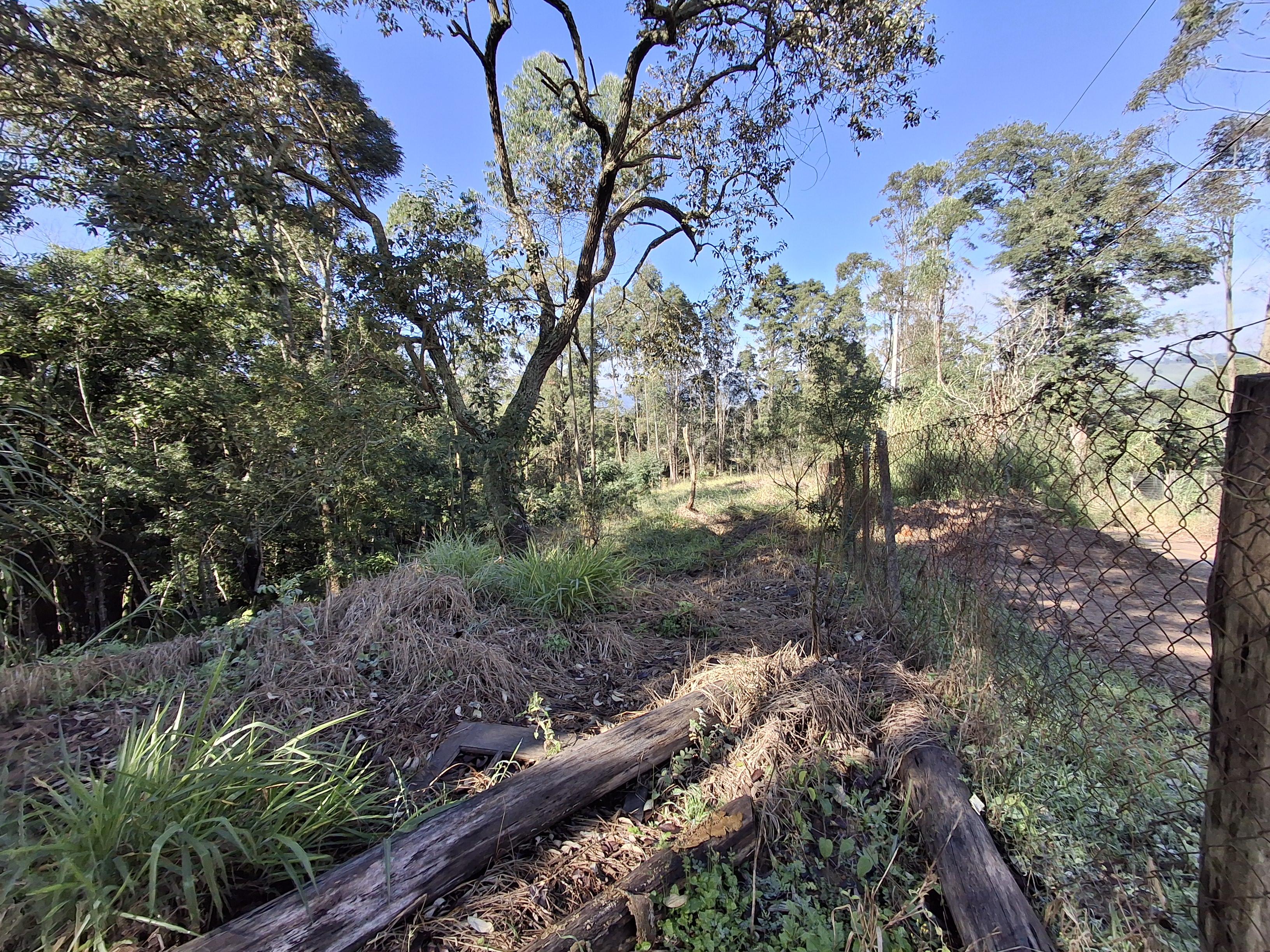 Terreno em Vila Darcy Penteado (Mailasqui), SÃO ROQUE - Foto 23