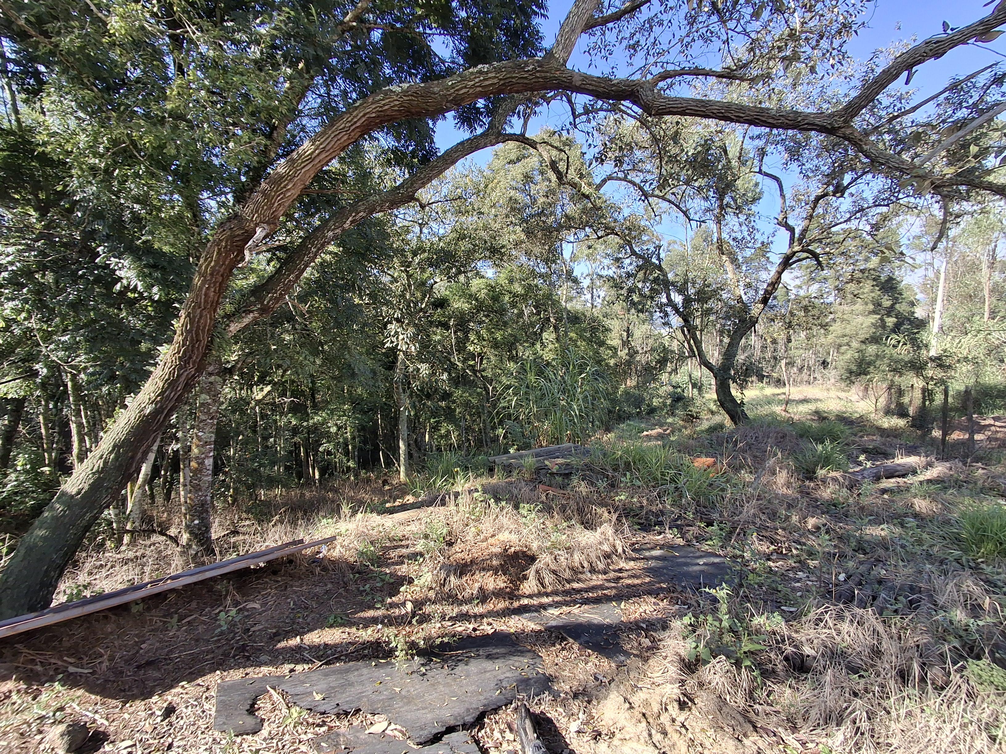 Terreno em Vila Darcy Penteado (Mailasqui), SÃO ROQUE - Foto 31