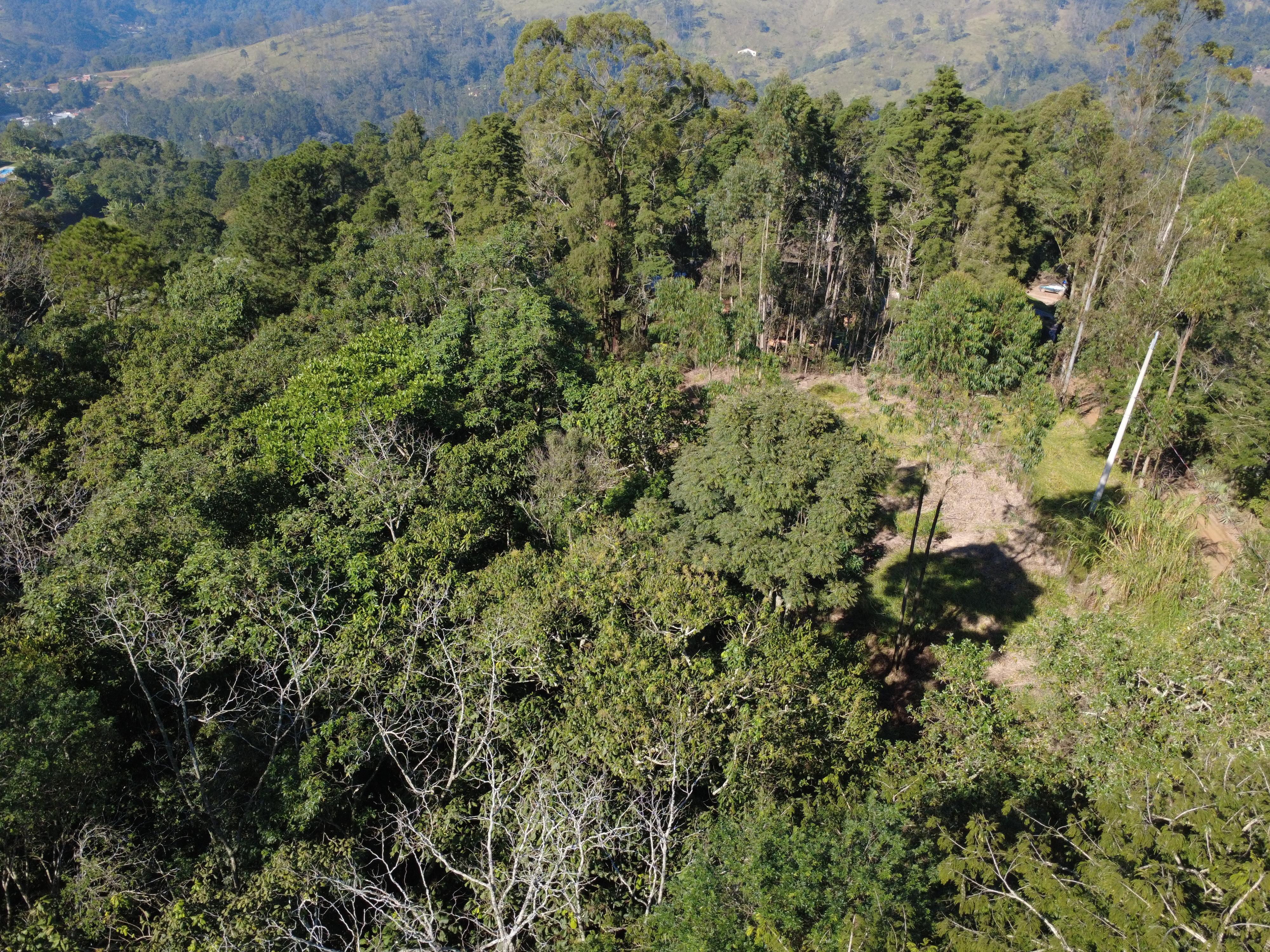 Terreno em Vila Darcy Penteado (Mailasqui), SÃO ROQUE - Foto 21