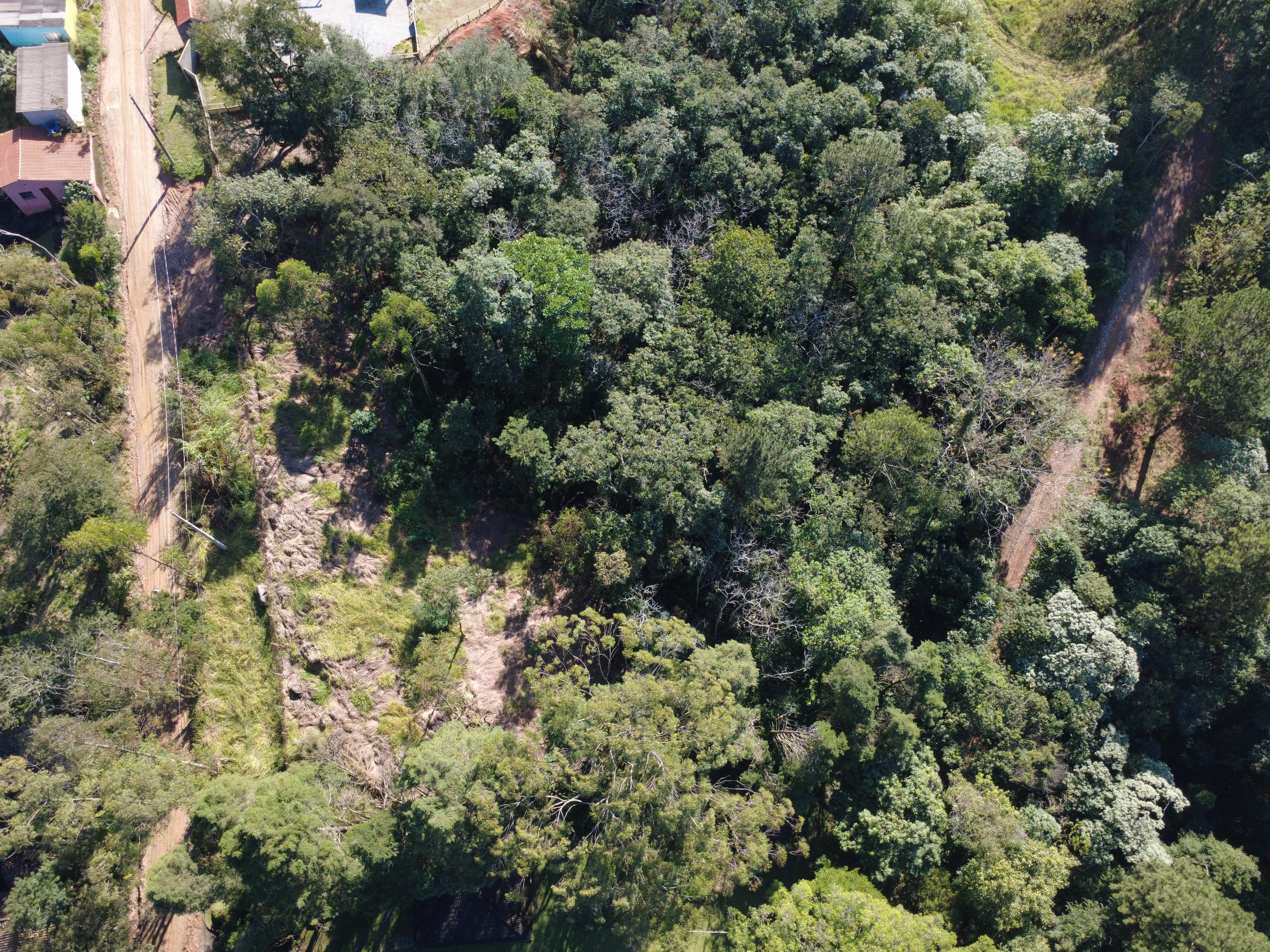 Terreno em Vila Darcy Penteado (Mailasqui), SÃO ROQUE - Foto 5