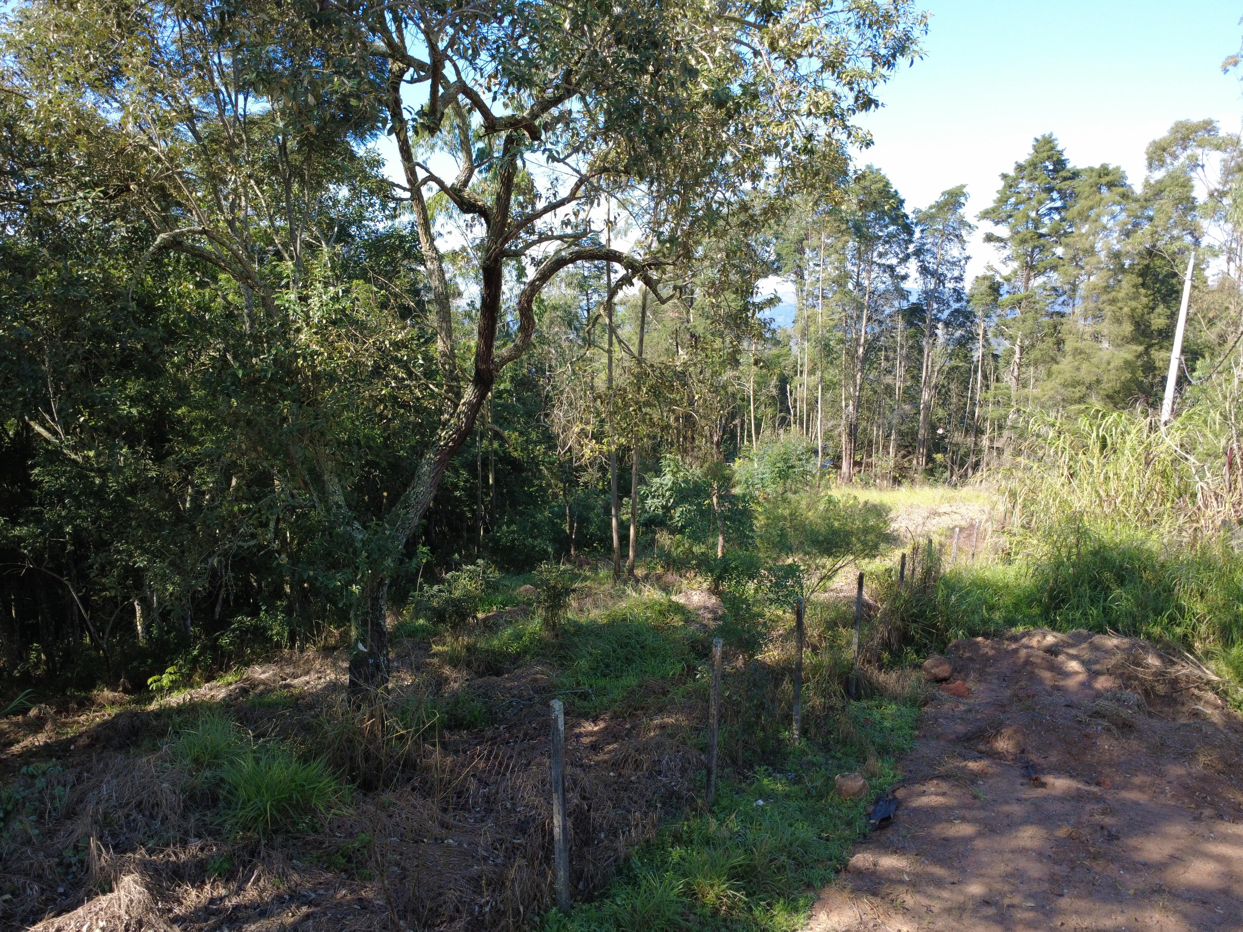 Terreno em Vila Darcy Penteado (Mailasqui), SÃO ROQUE - Foto 7