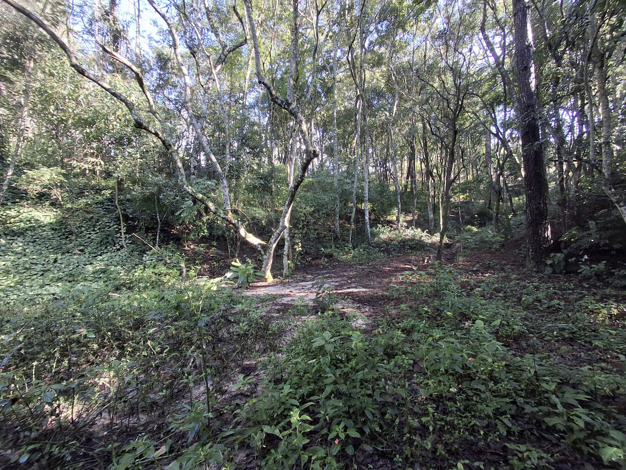Terreno em Vila Darcy Penteado (Mailasqui), SÃO ROQUE - Foto 11