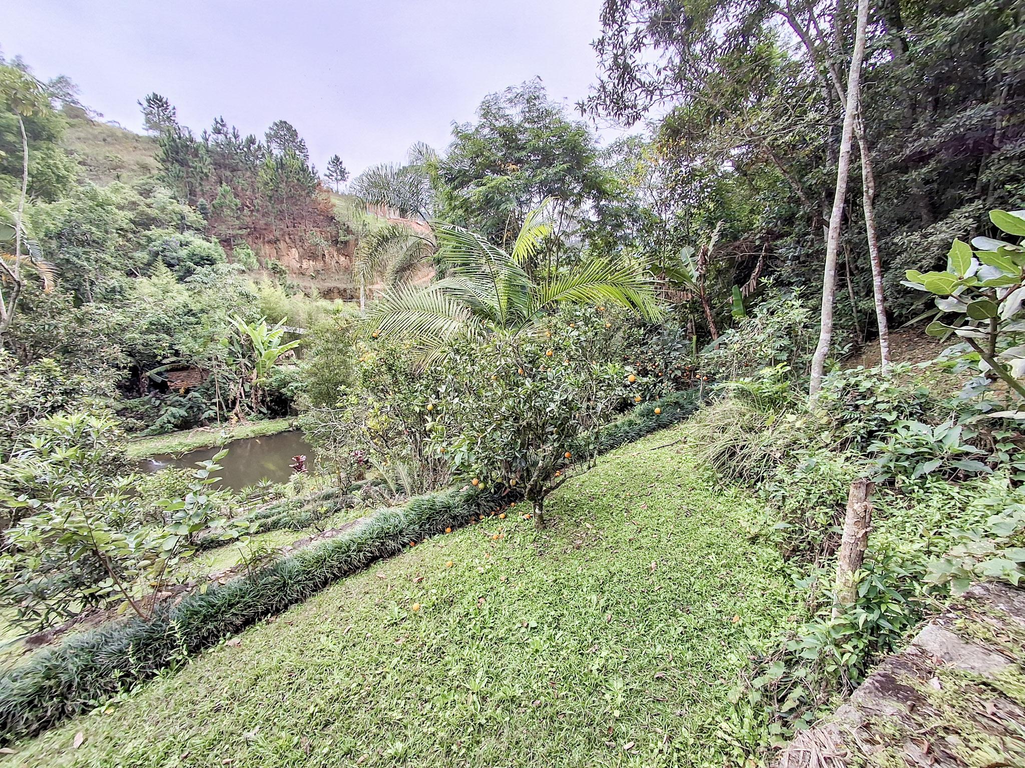 Sítio em Volta Grande (São João Novo), SÃO ROQUE - Foto 73