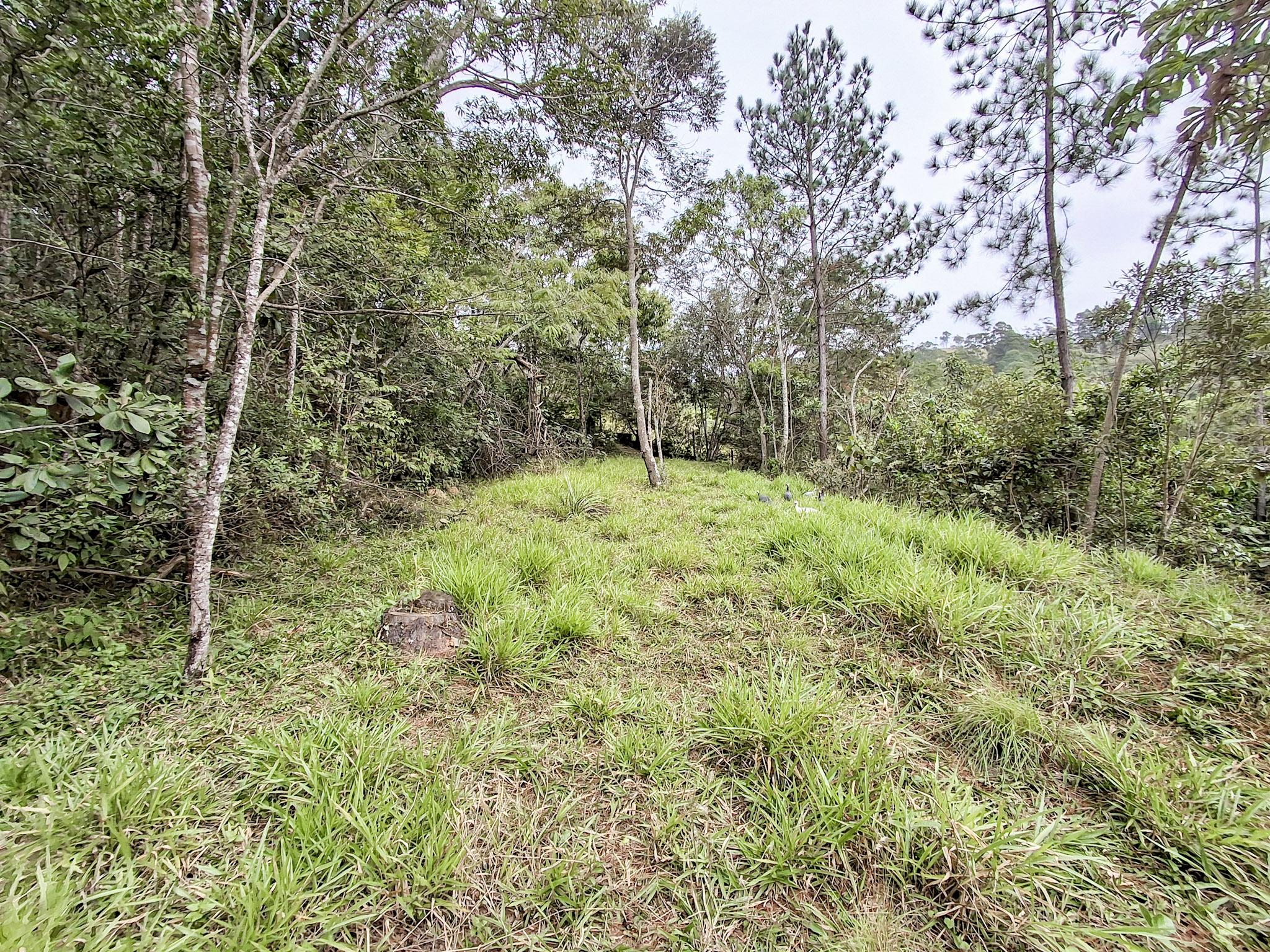 Sítio em Volta Grande (São João Novo), SÃO ROQUE - Foto 65