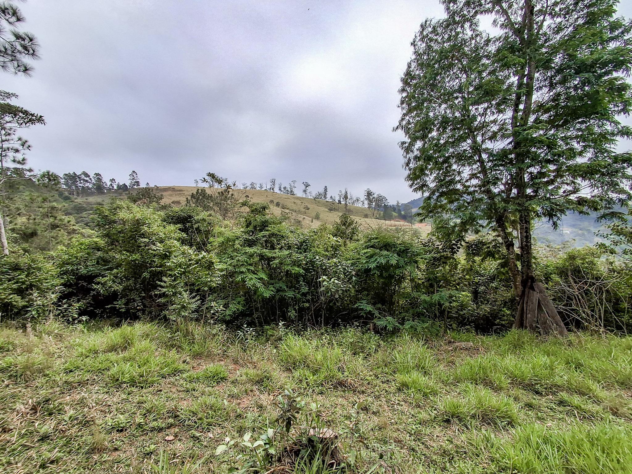 Sítio em Volta Grande (São João Novo), SÃO ROQUE - Foto 67