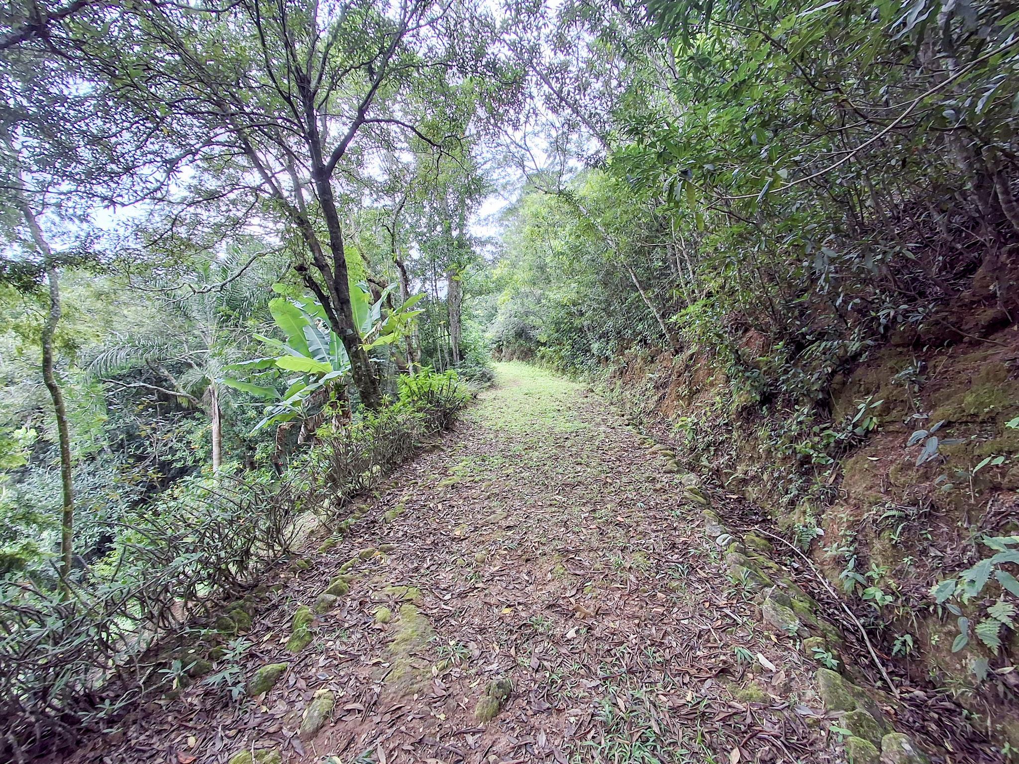 Sítio em Volta Grande (São João Novo), SÃO ROQUE - Foto 69