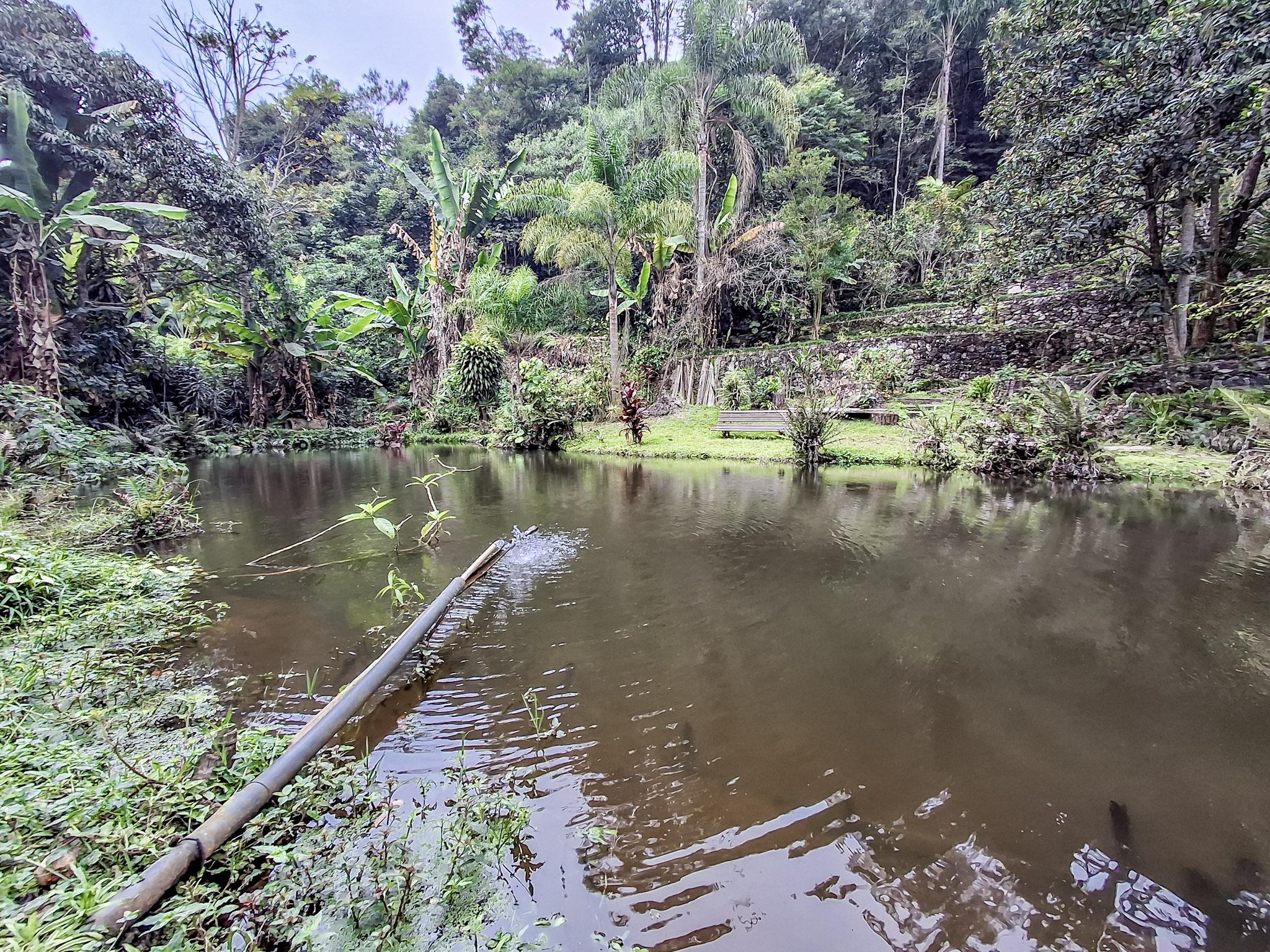 Sítio em Volta Grande (São João Novo), SÃO ROQUE - Foto 77
