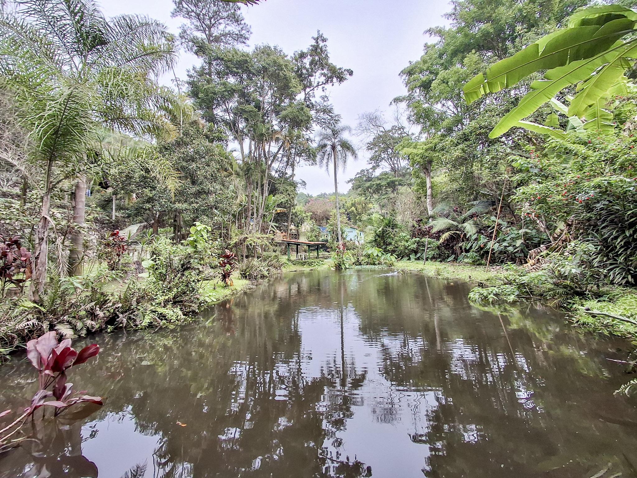 Sítio em Volta Grande (São João Novo), SÃO ROQUE - Foto 81