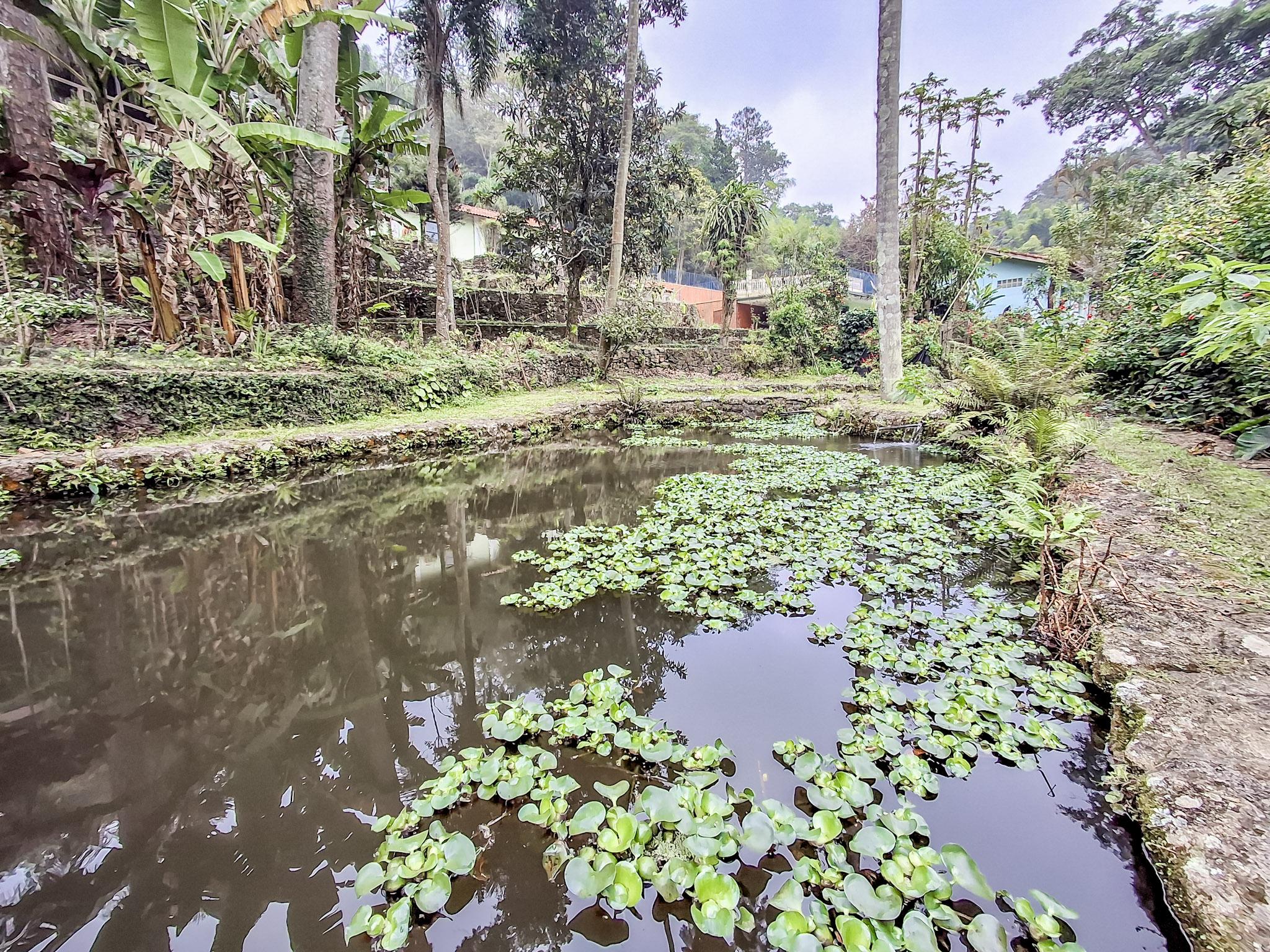 Sítio em Volta Grande (São João Novo), SÃO ROQUE - Foto 85