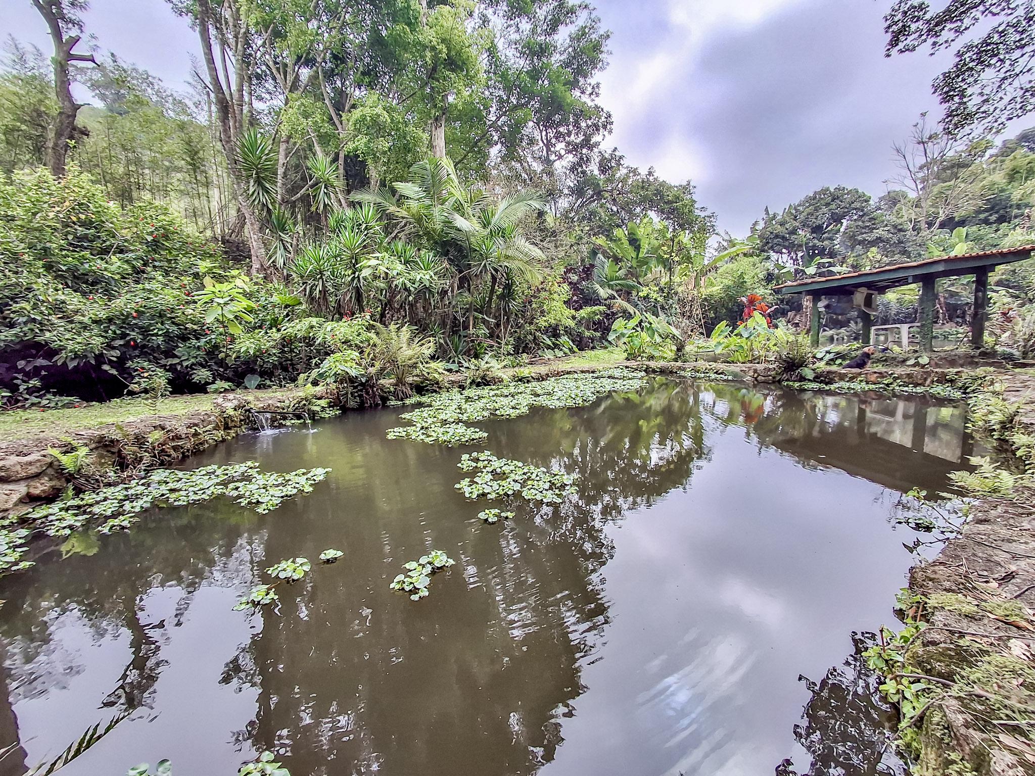 Sítio em Volta Grande (São João Novo), SÃO ROQUE - Foto 87