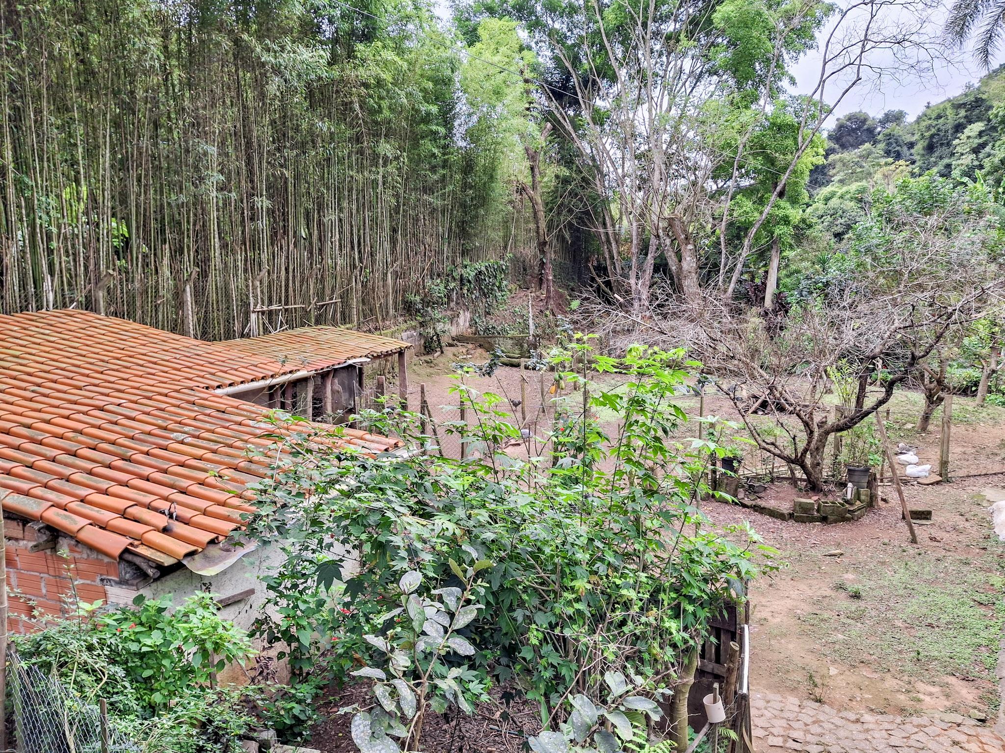 Sítio em Volta Grande (São João Novo), SÃO ROQUE - Foto 93
