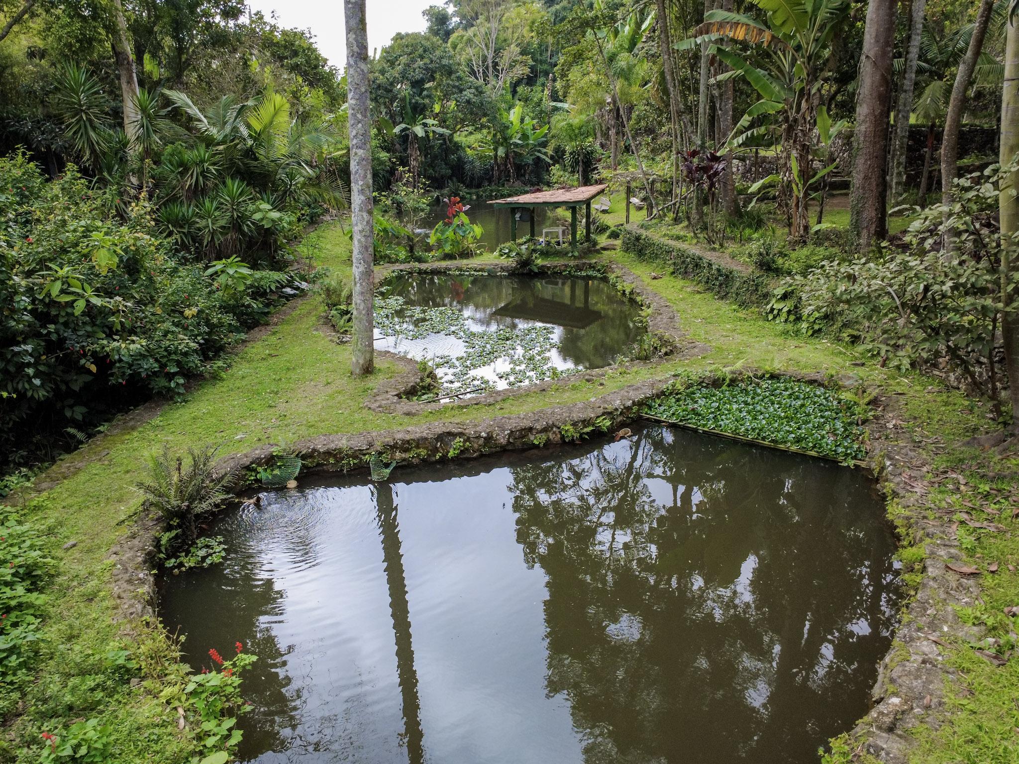 Chácara em Volta Grande (São João Novo), SÃO ROQUE - Chácara com 3 lagos e acessibilidade rodeada de muito verde em São Roque! - Foto 3