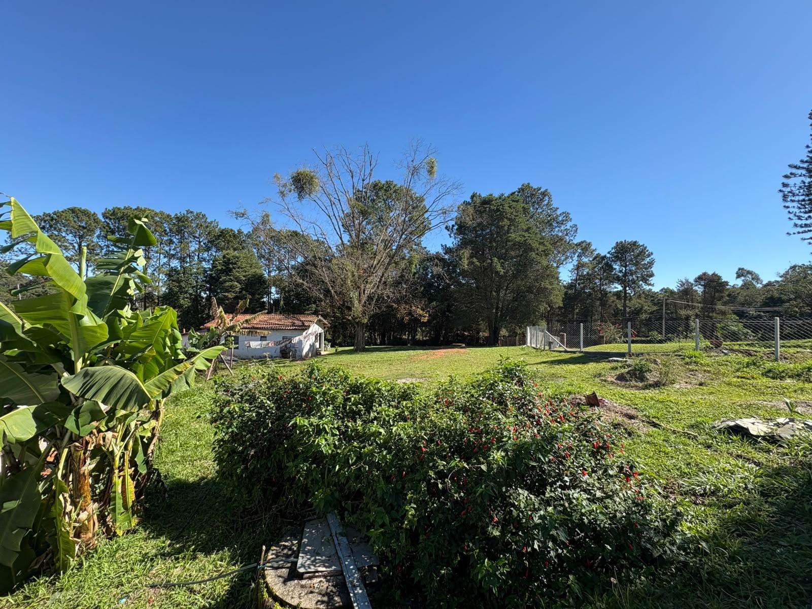 Sítio em Sorocamirim (Canguera), SÃO ROQUE - Foto 5
