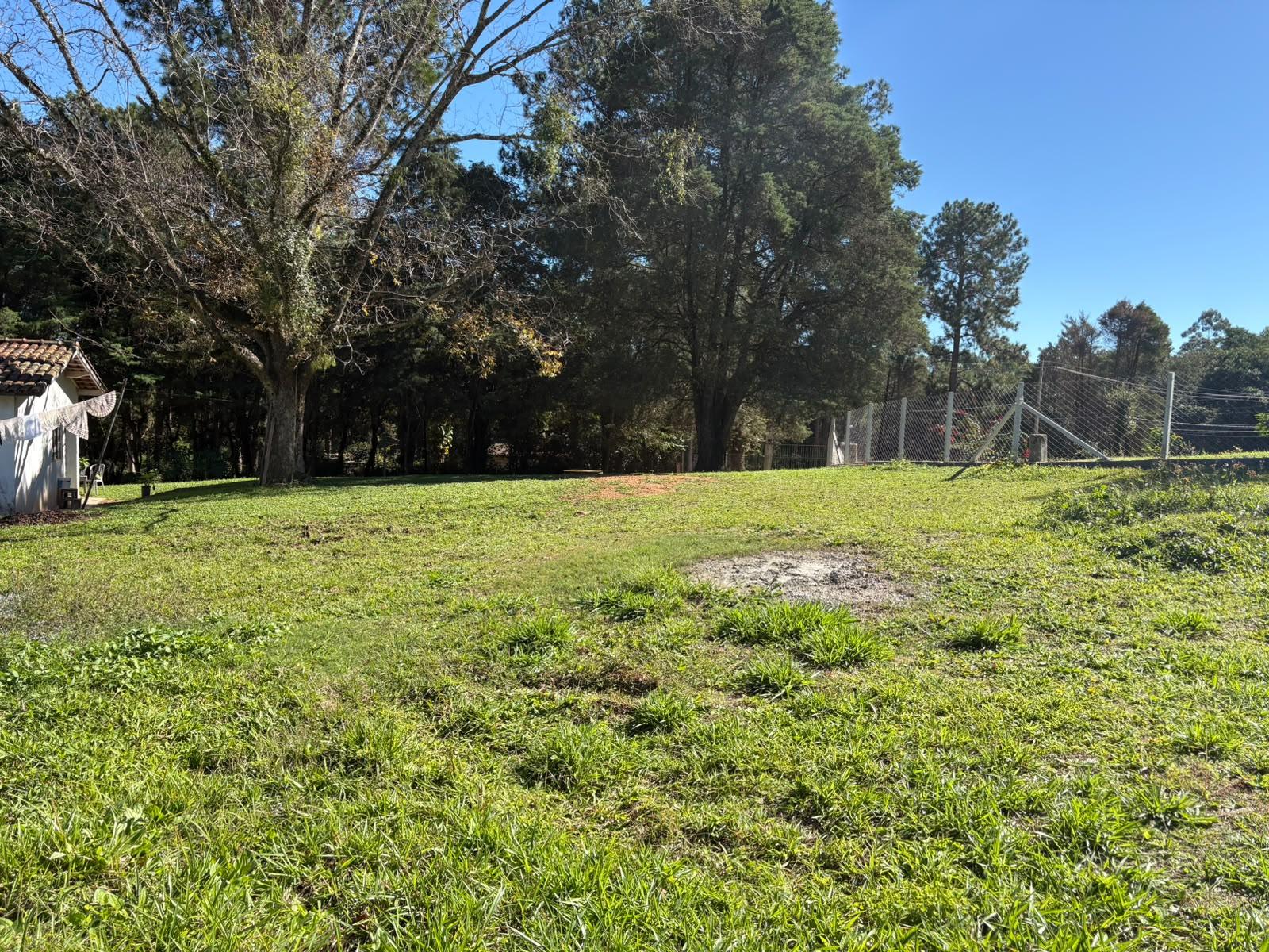 Sítio em Sorocamirim (Canguera), SÃO ROQUE - Foto 11