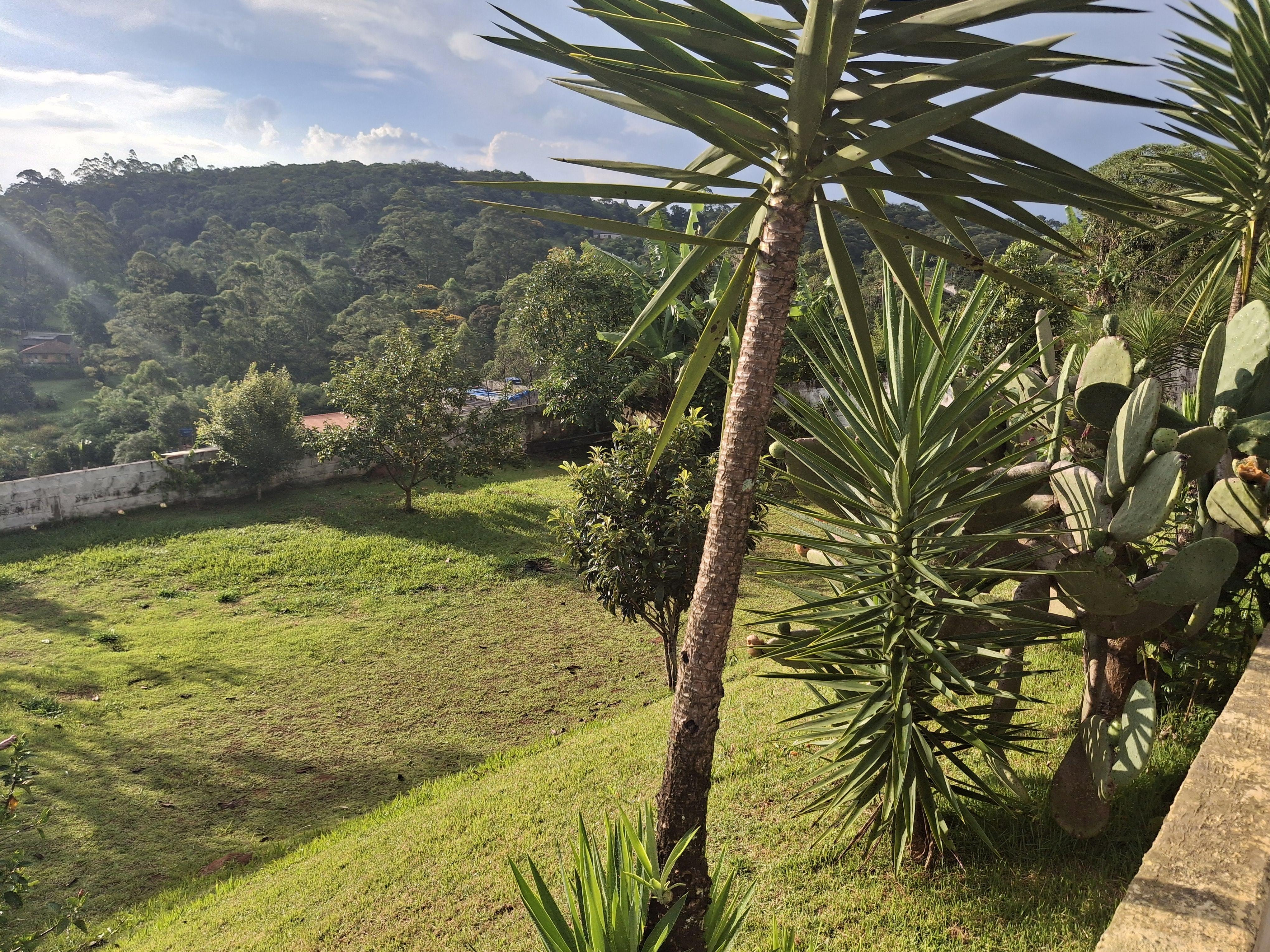 Sítio em Alpes Paulista (Mailasqui), SÃO ROQUE - Foto 81