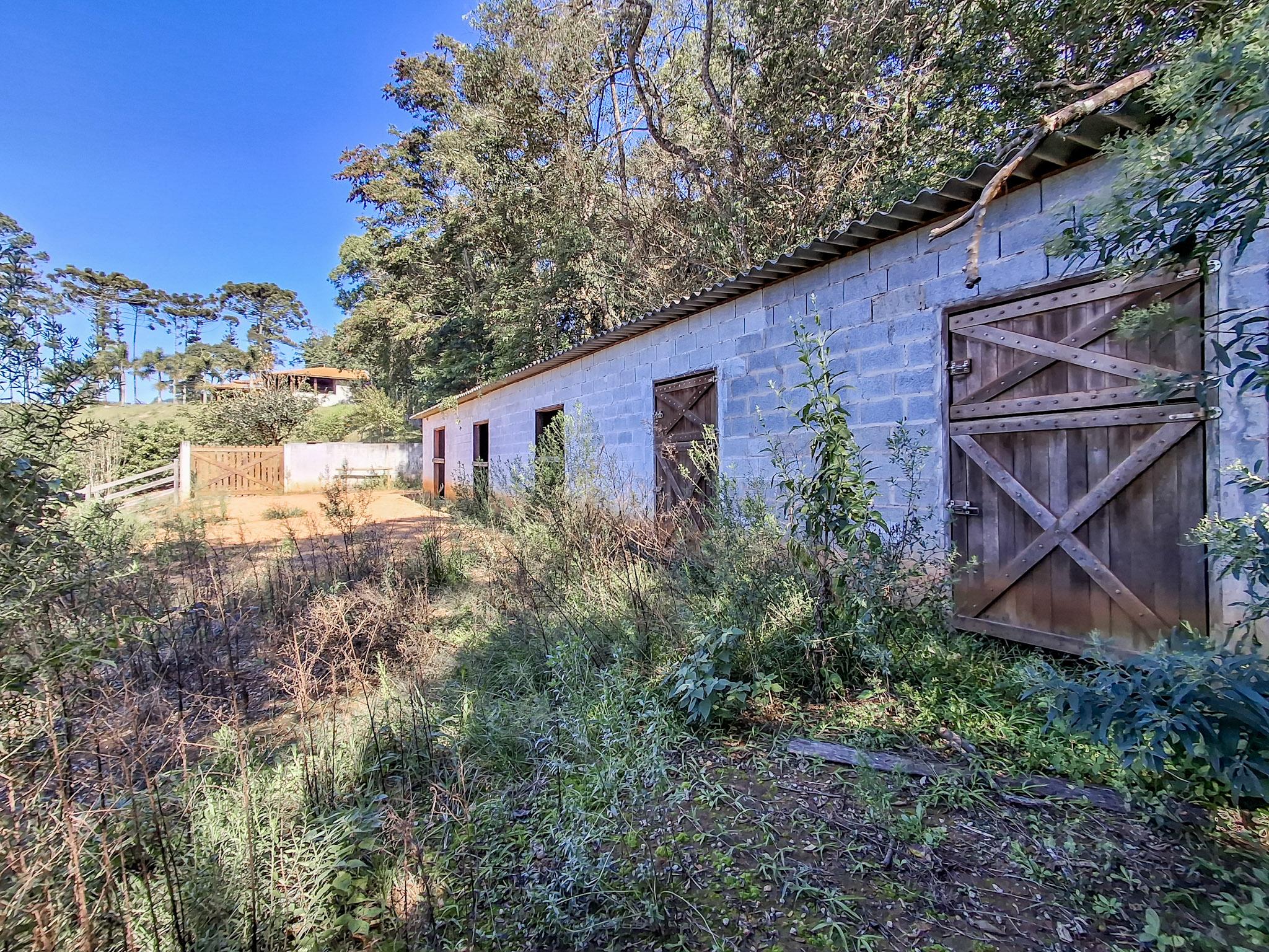 Sítio em Sorocamirim (Canguera), SÃO ROQUE - Foto 45