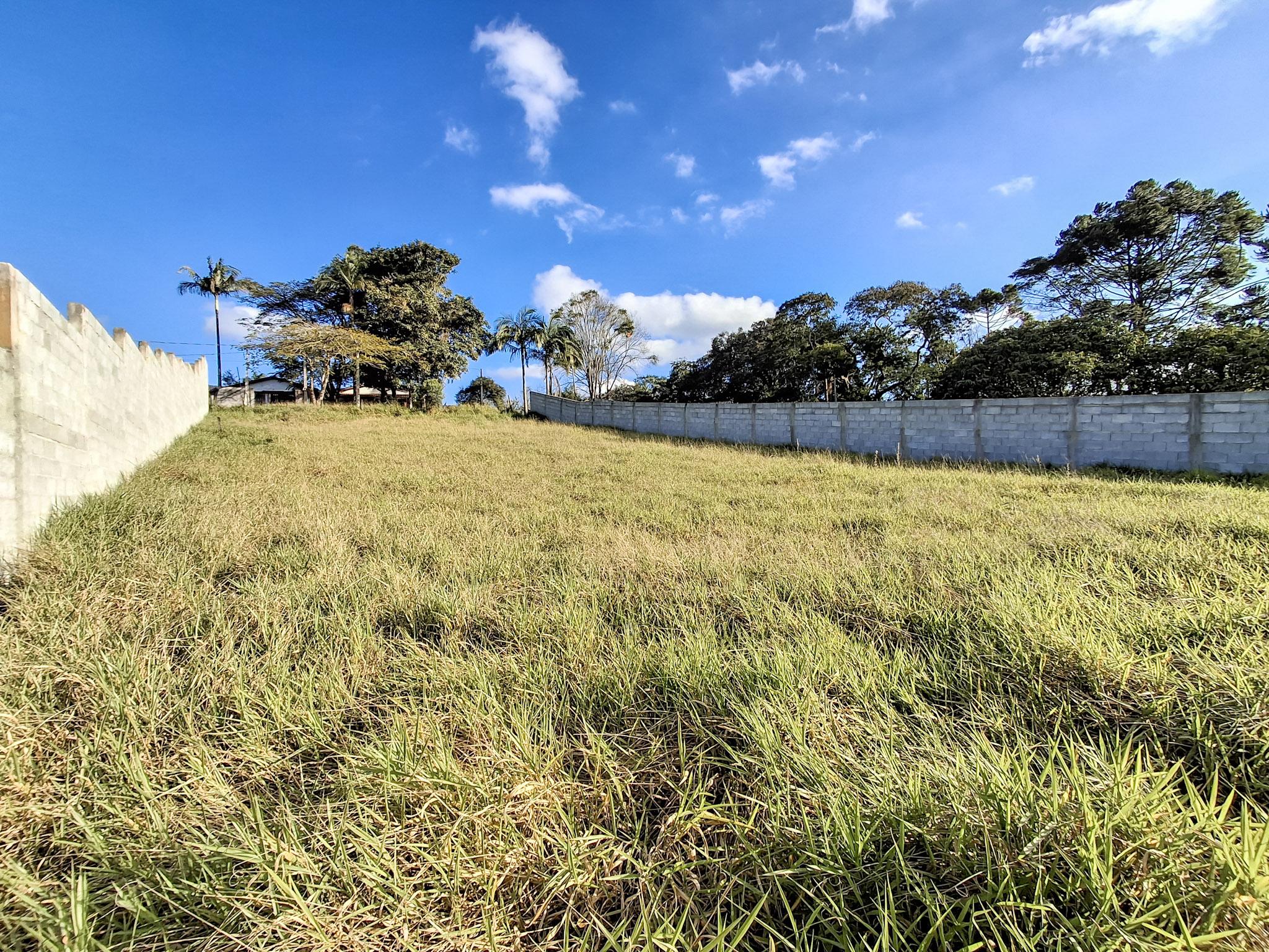 Terreno em Vinhedos, SÃO ROQUE - Foto 25