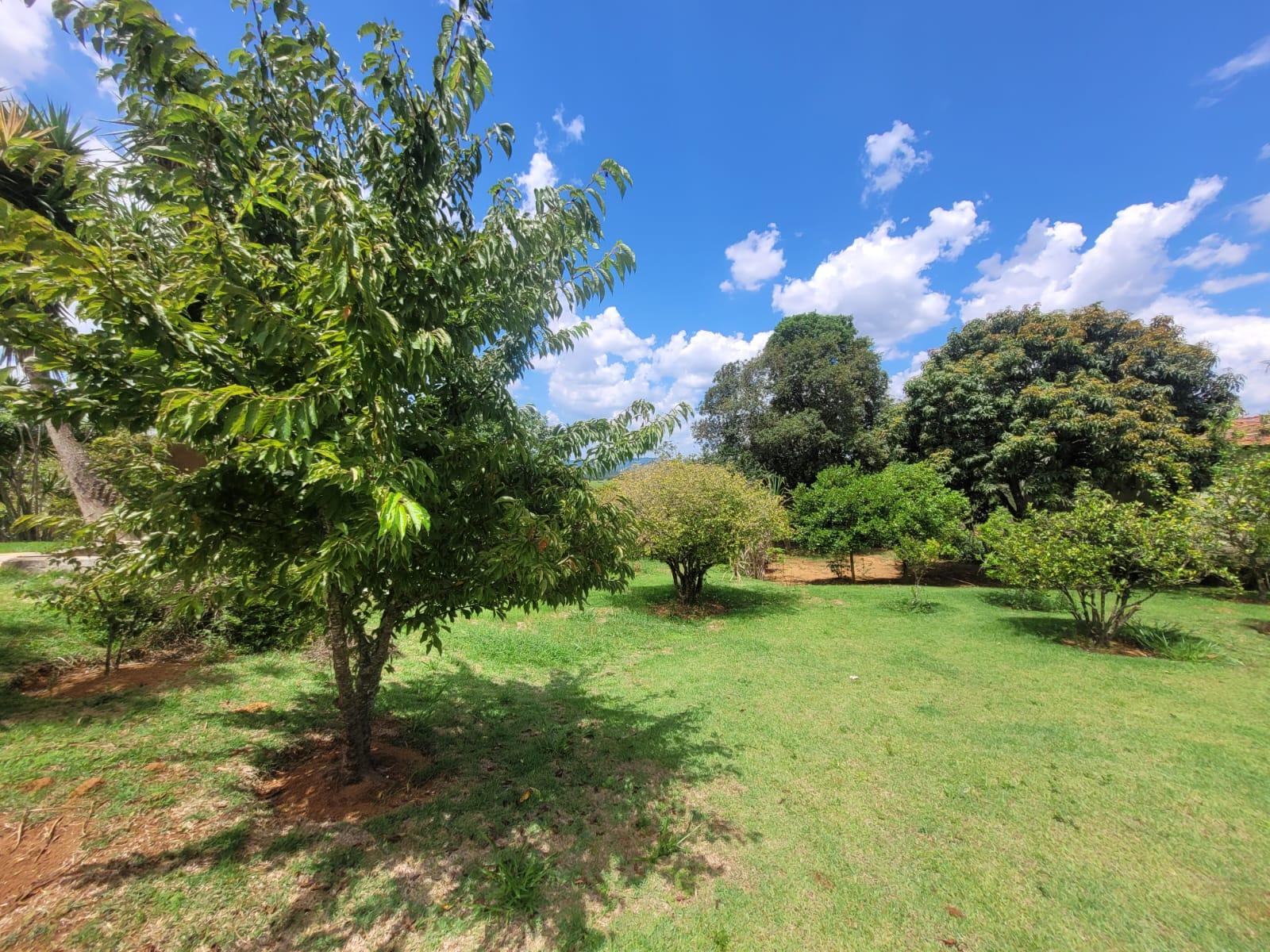 Sítio em Campininha (Canguera), SÃO ROQUE - Foto 11